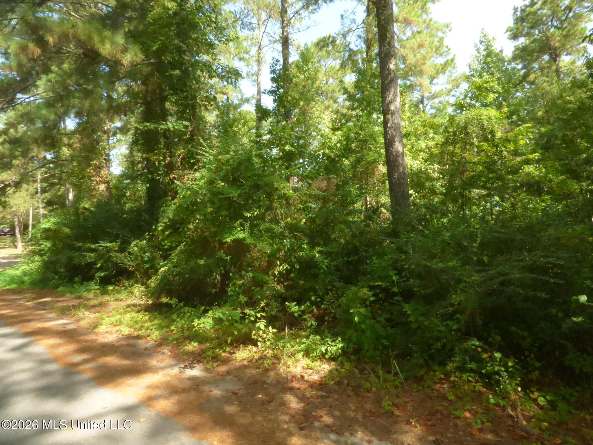 Cedar Drive Property Photo 3