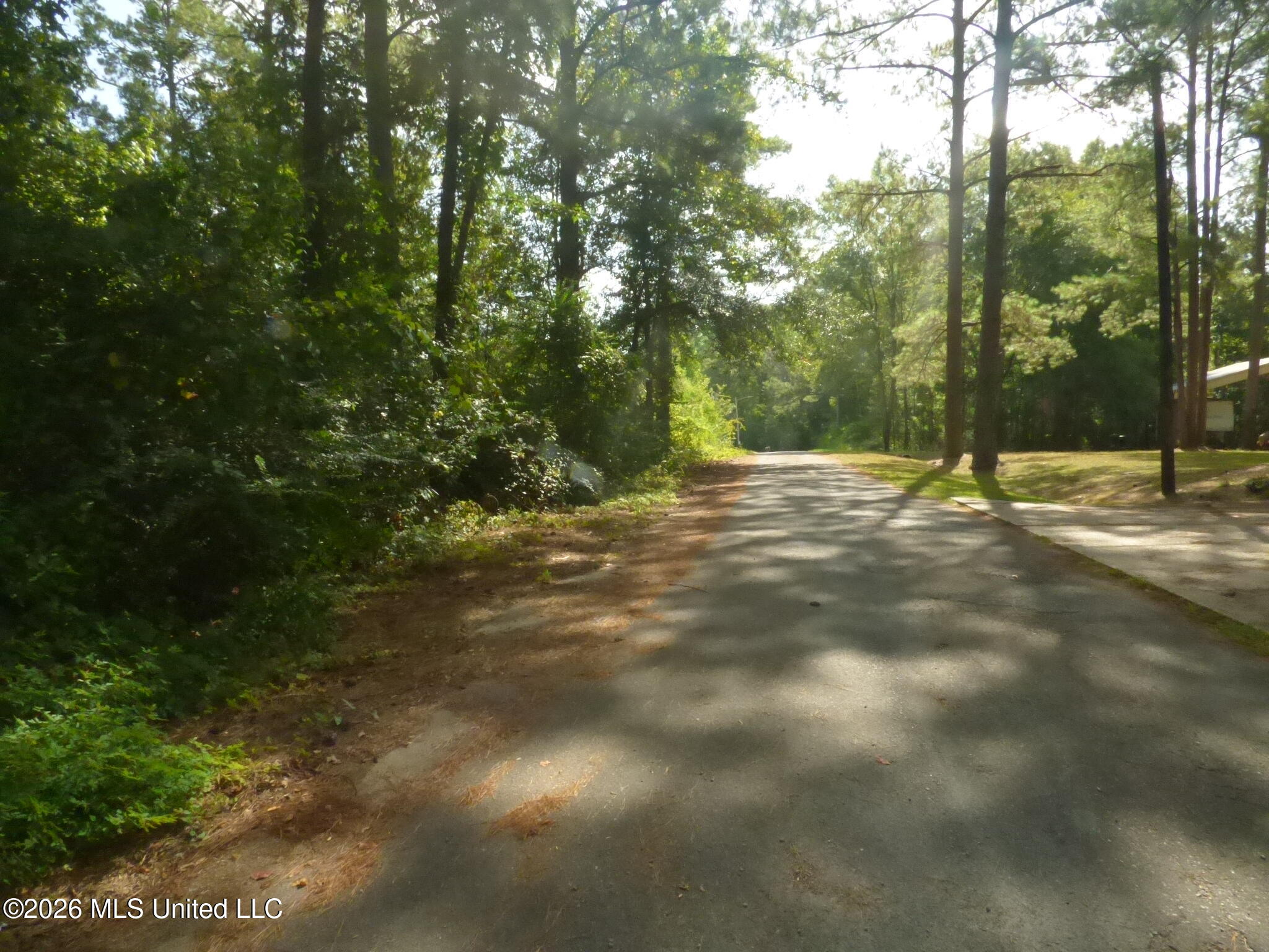 Cedar Drive Property Photo 5