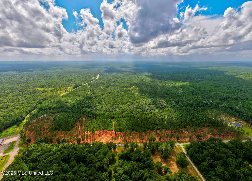 Nhn Lot 8 Bethel Road Property Photo 60