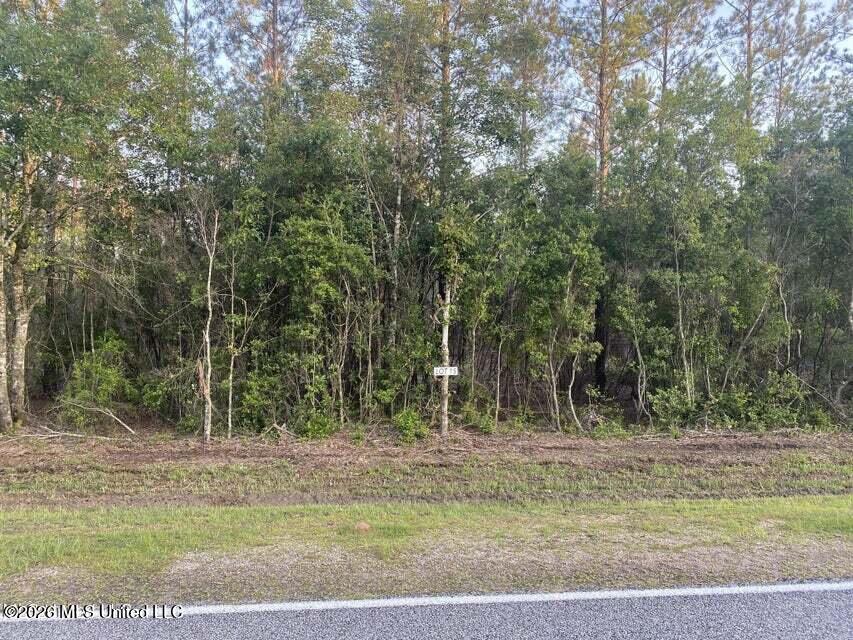 Nhn Lot 15 Bethel Property Photo 1