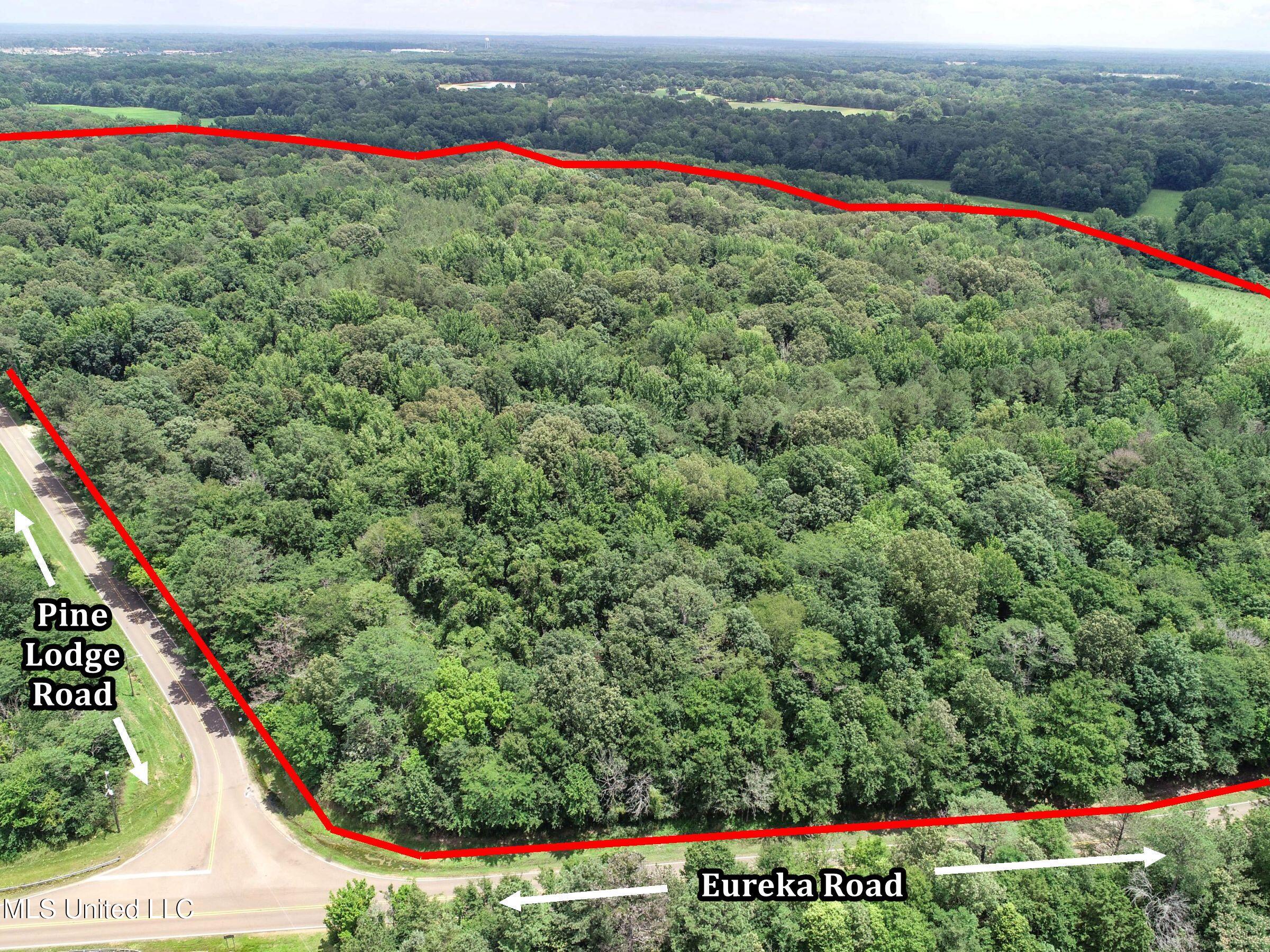 Pine Lodge Road Road Property Photo 3
