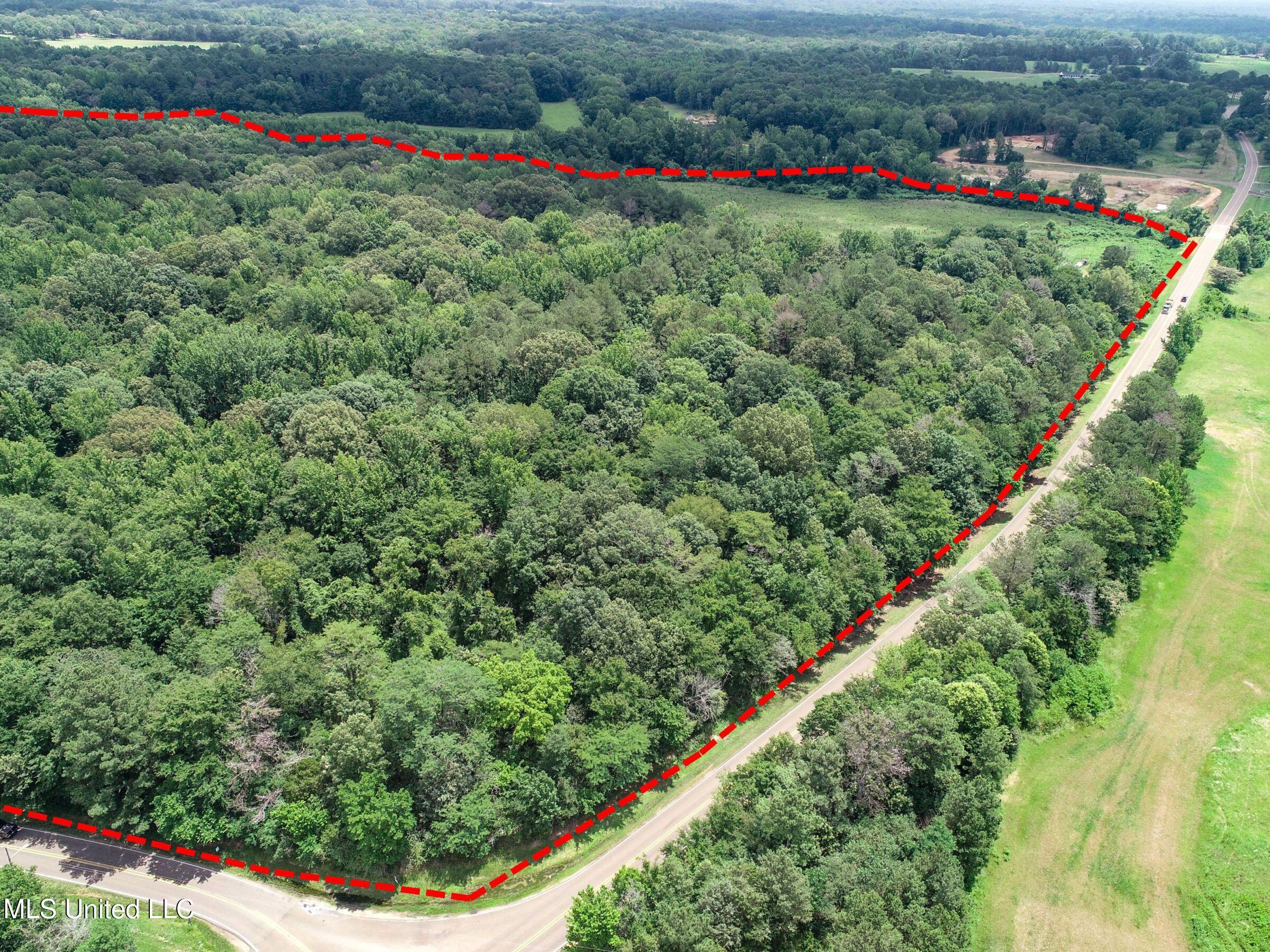 Pine Lodge Road Road Property Photo 9