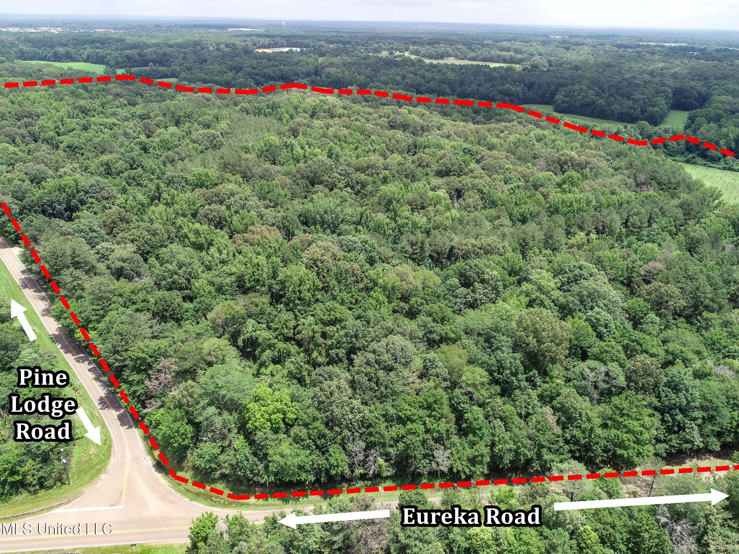 Pine Lodge Road Road Property Photo 11