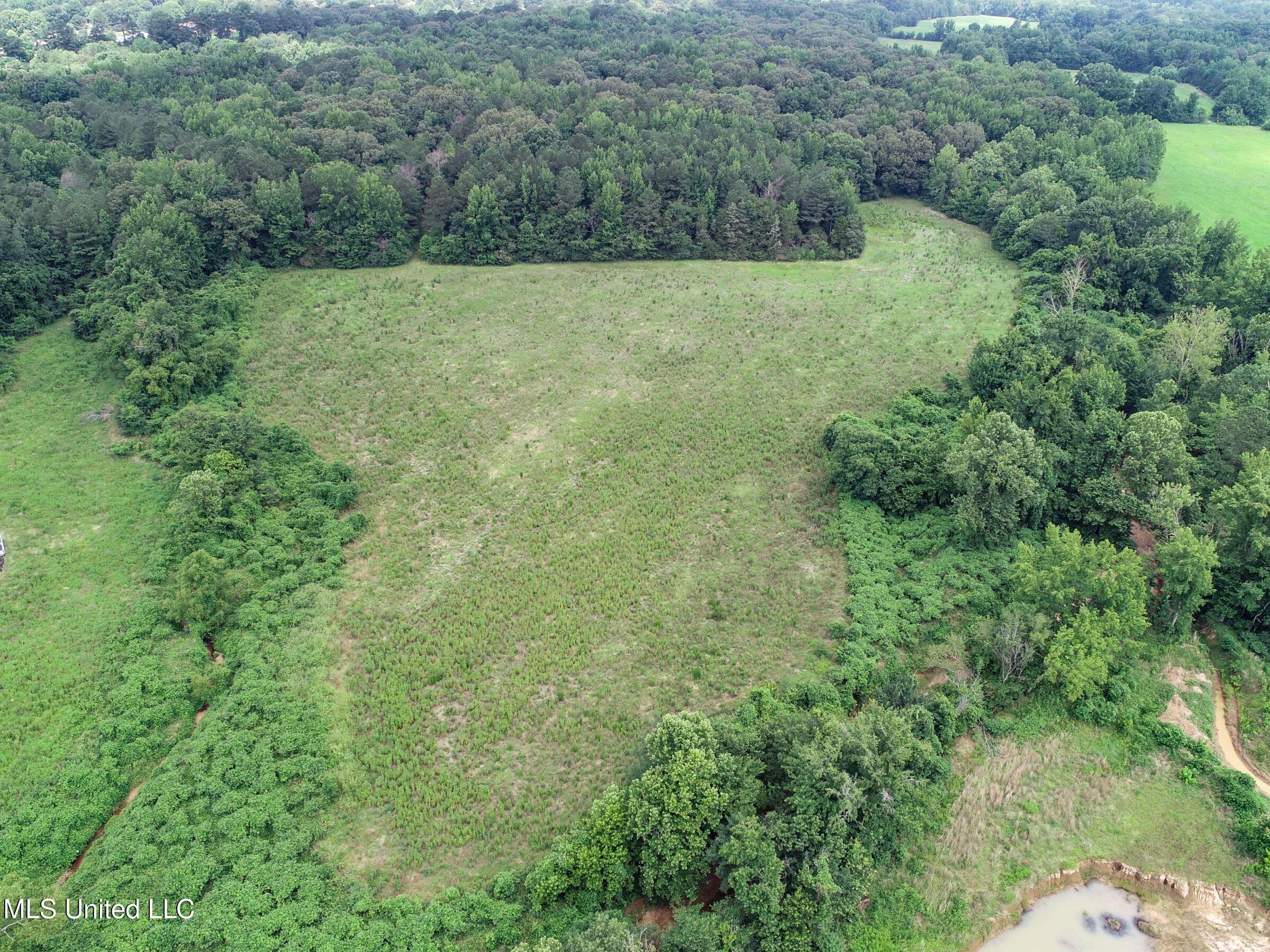 Pine Lodge Road Road Property Photo 22