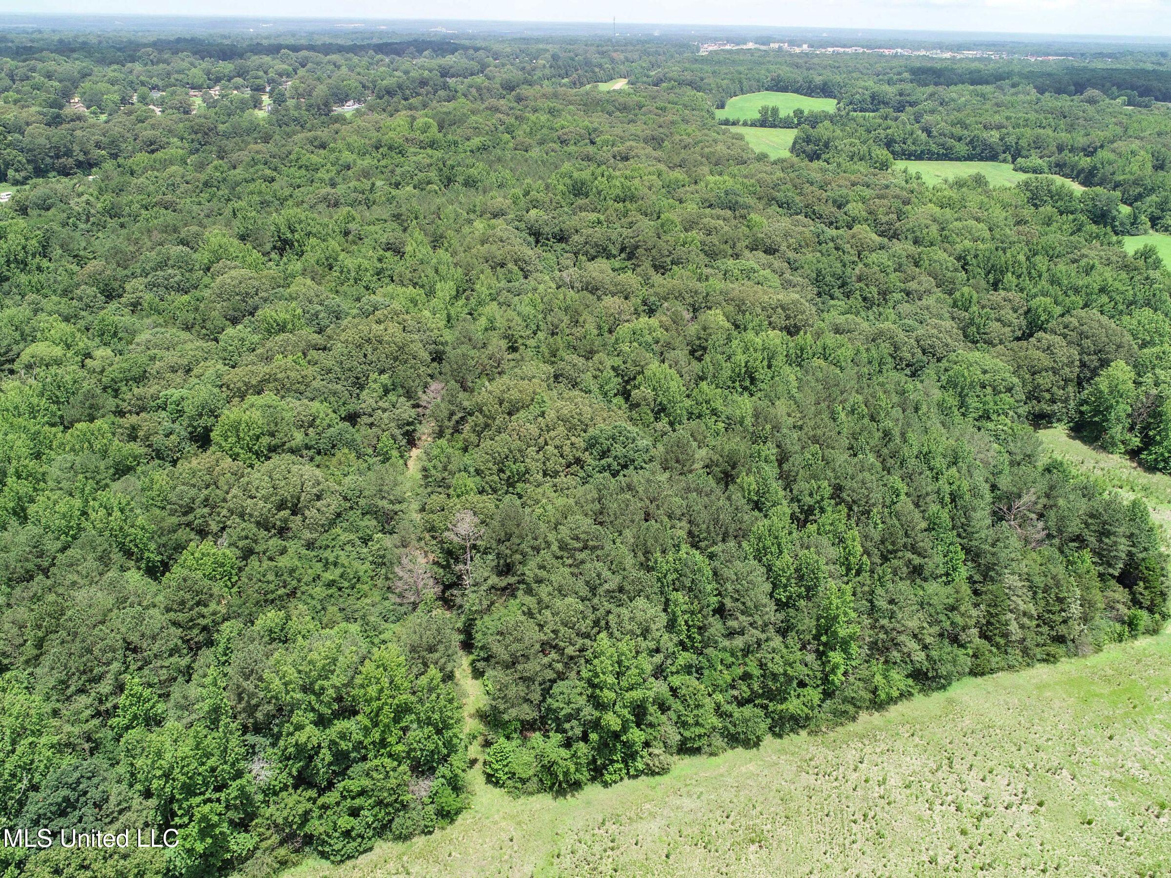 Pine Lodge Road Road Property Photo 35