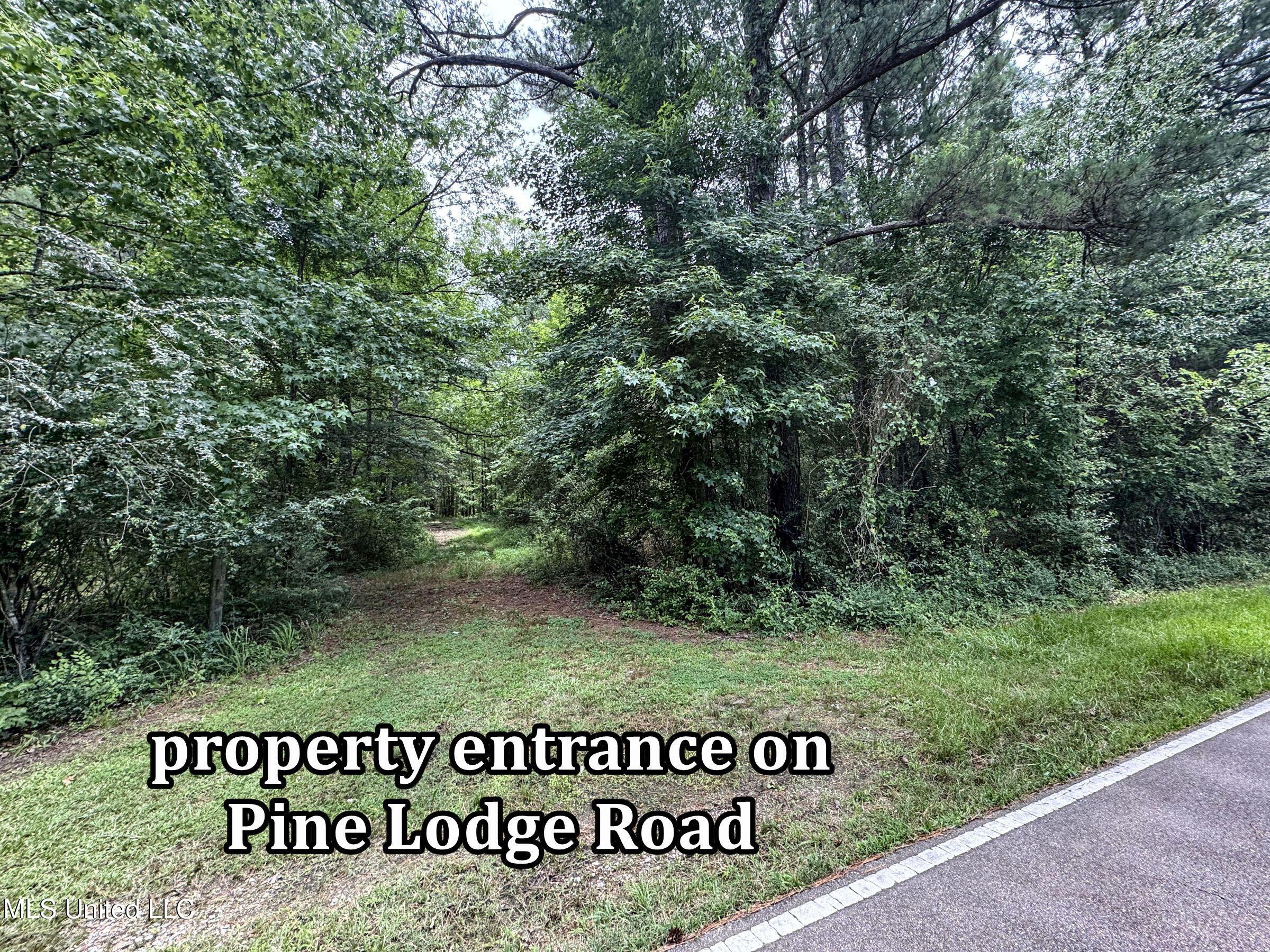 Pine Lodge Road Road Property Photo 45