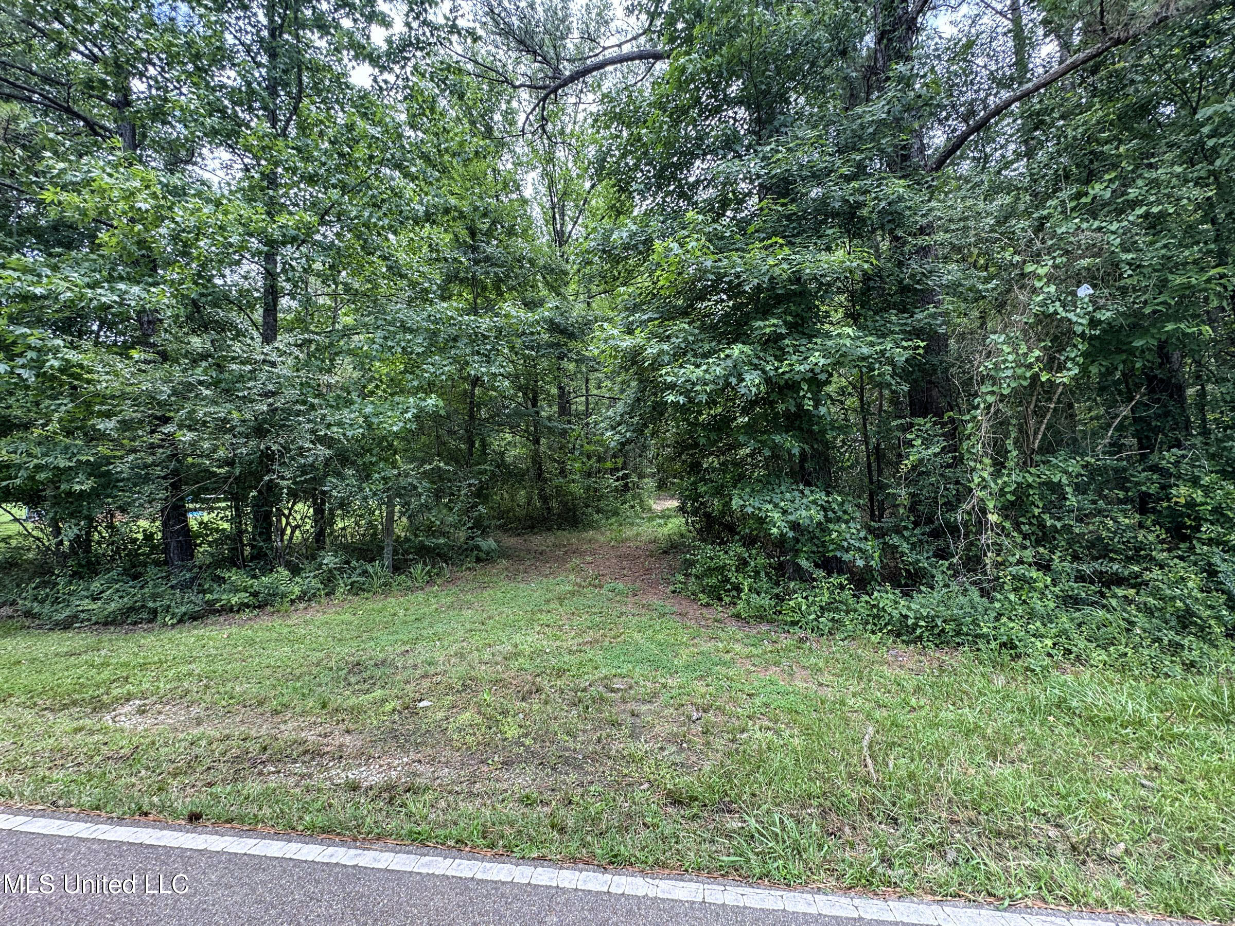 Pine Lodge Road Road Property Photo 46