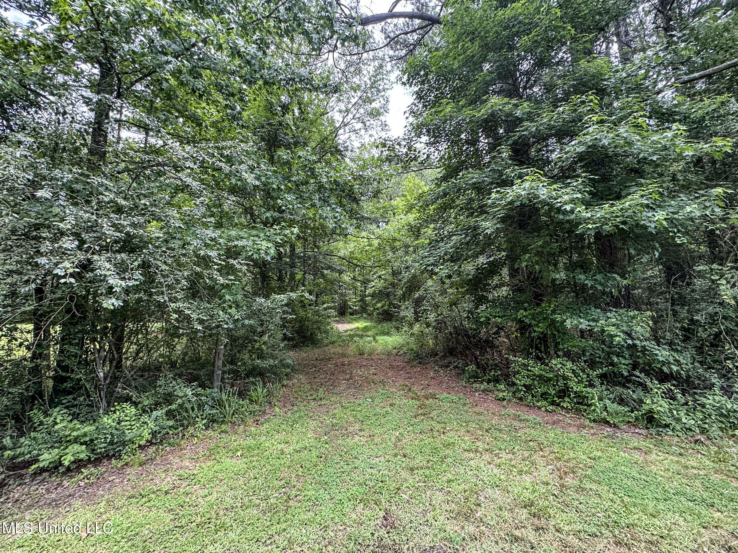 Pine Lodge Road Road Property Photo 47