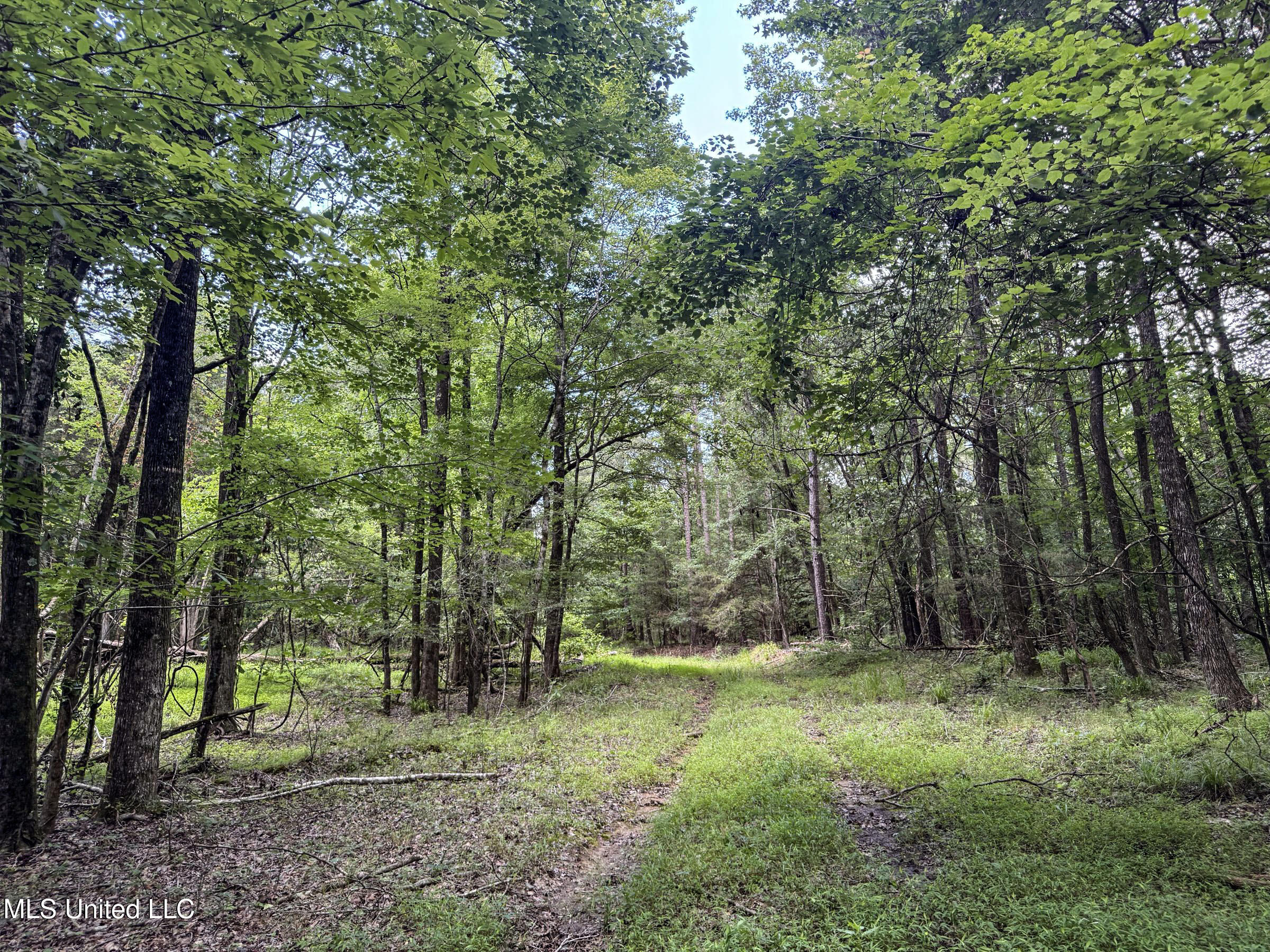 Pine Lodge Road Road Property Photo 49
