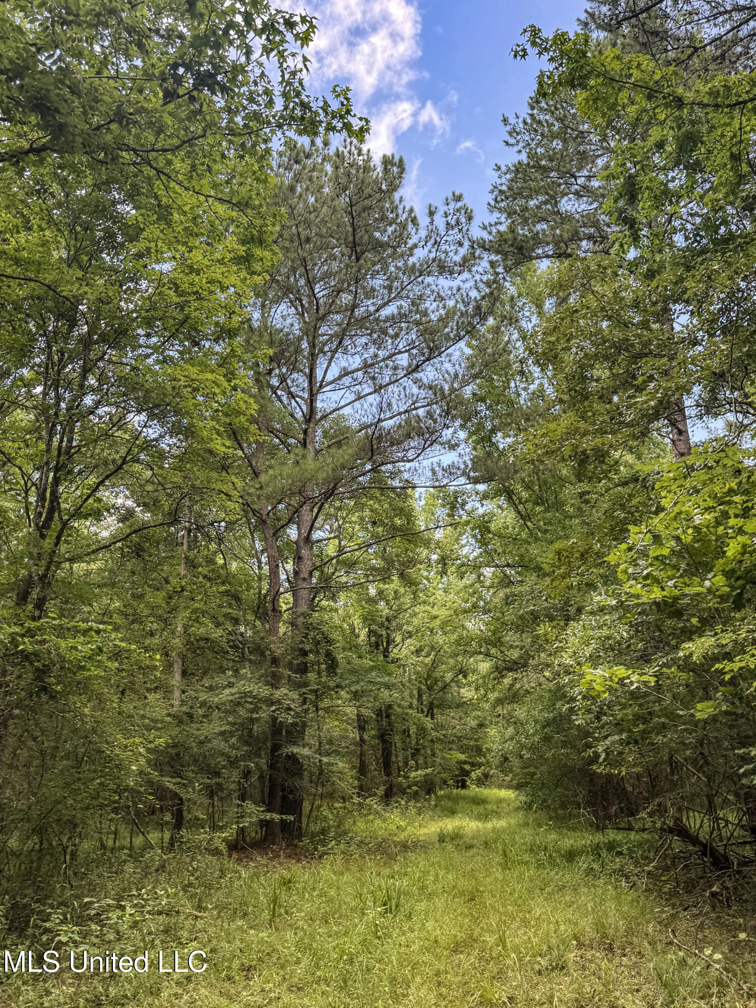 Pine Lodge Road Road Property Photo 50