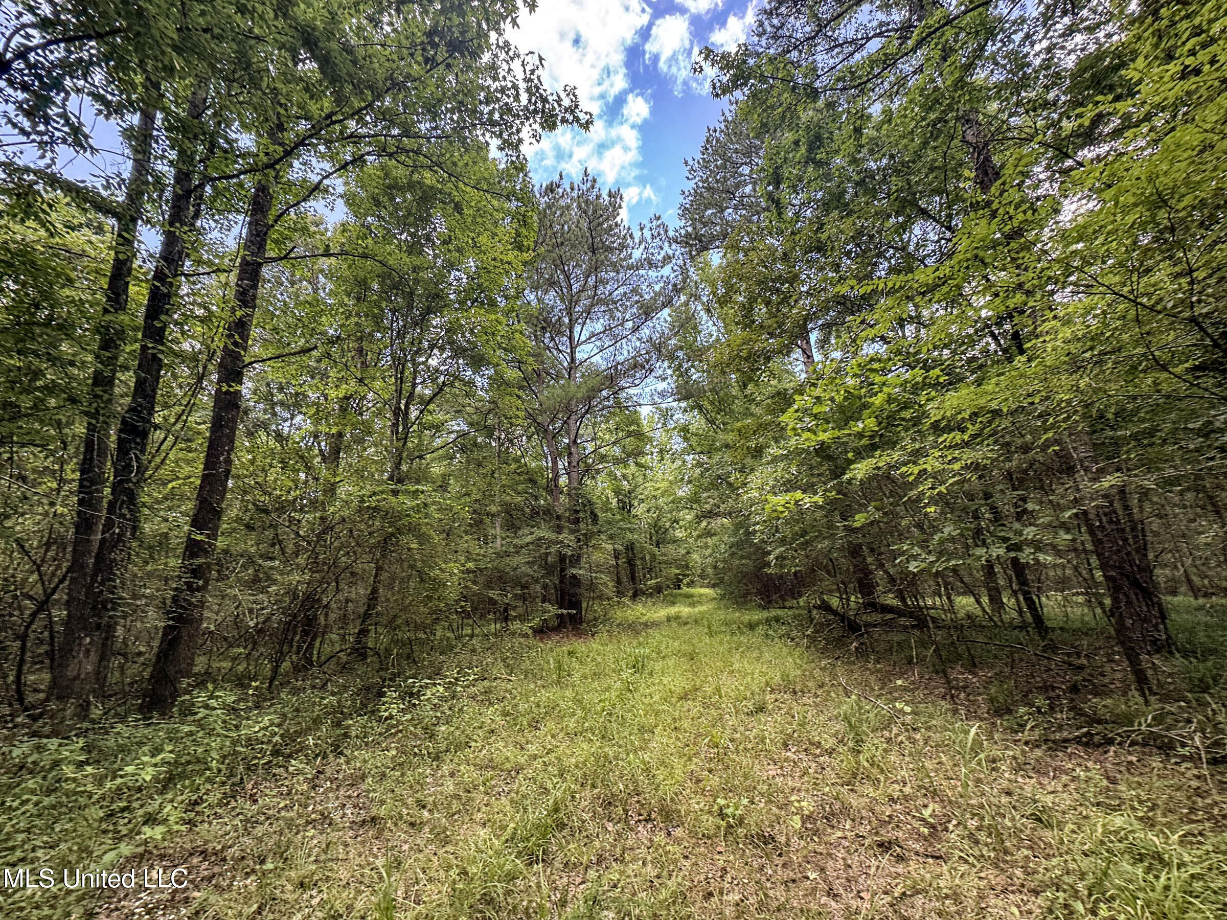 Pine Lodge Road Road Property Photo 51