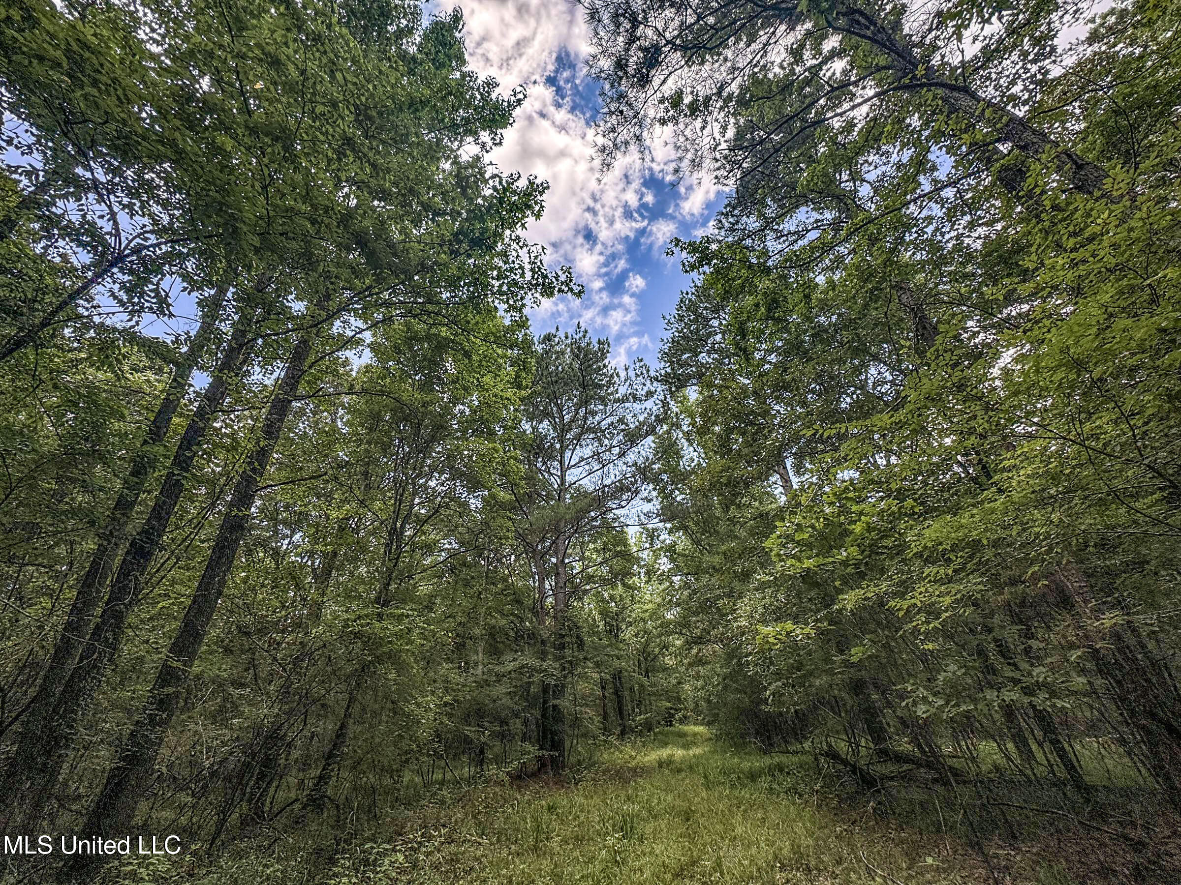 Pine Lodge Road Road Property Photo 52
