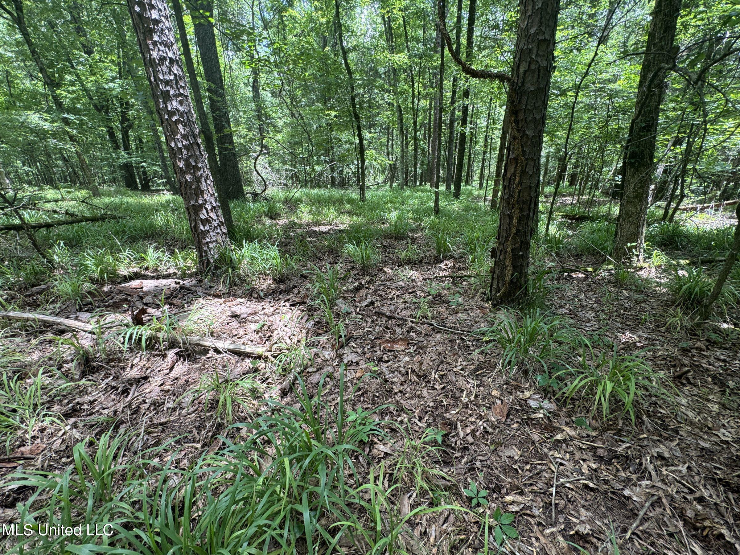 Pine Lodge Road Road Property Photo 65