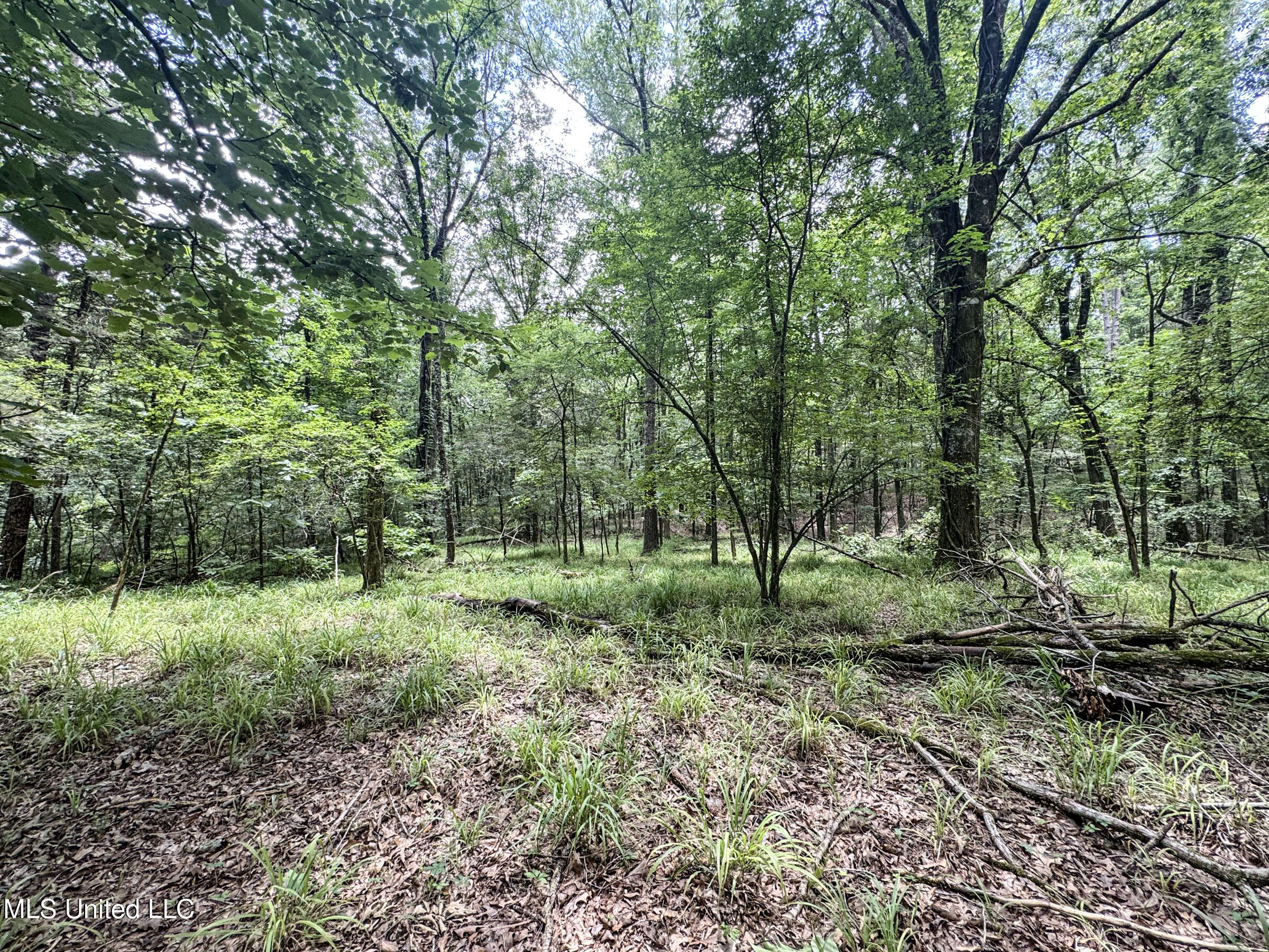 Pine Lodge Road Road Property Photo 70