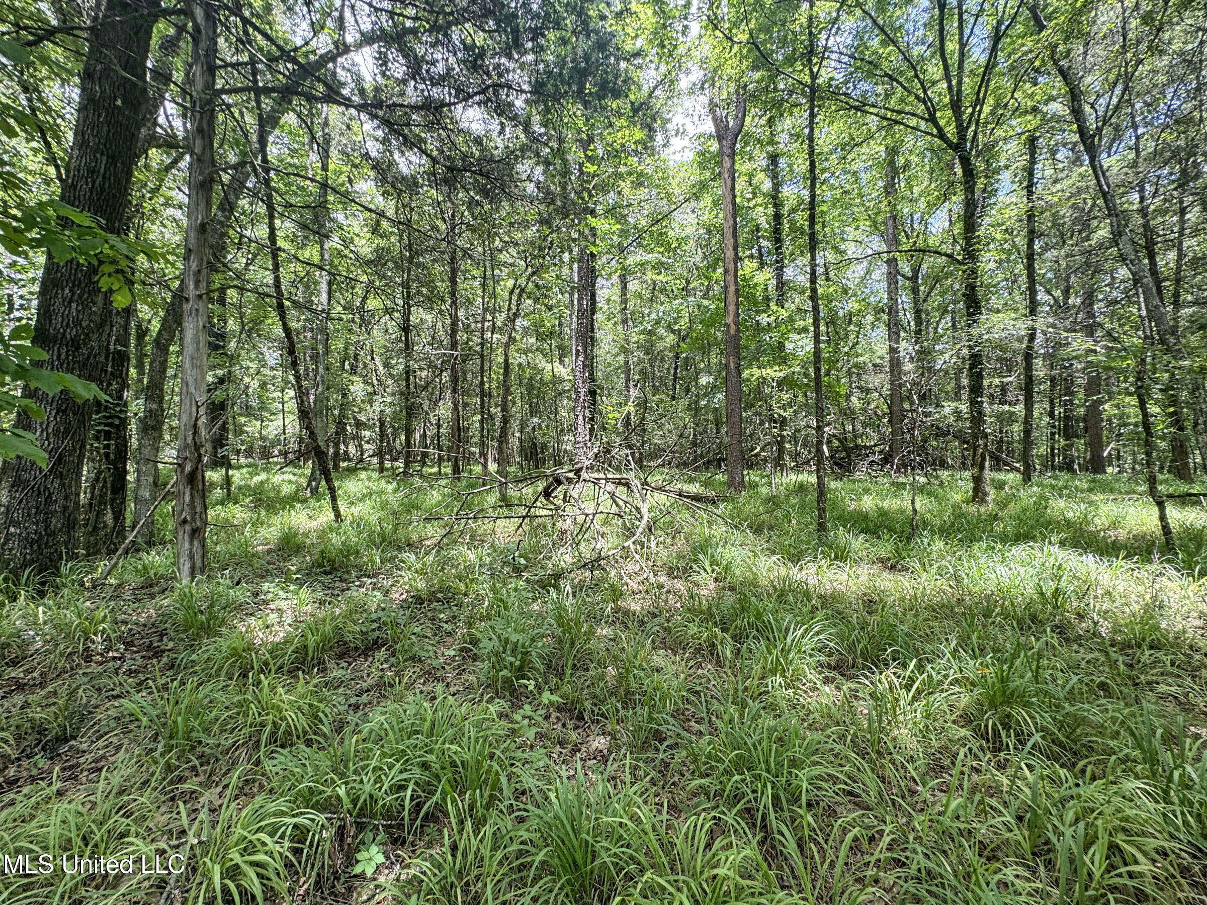 Pine Lodge Road Road Property Photo 80