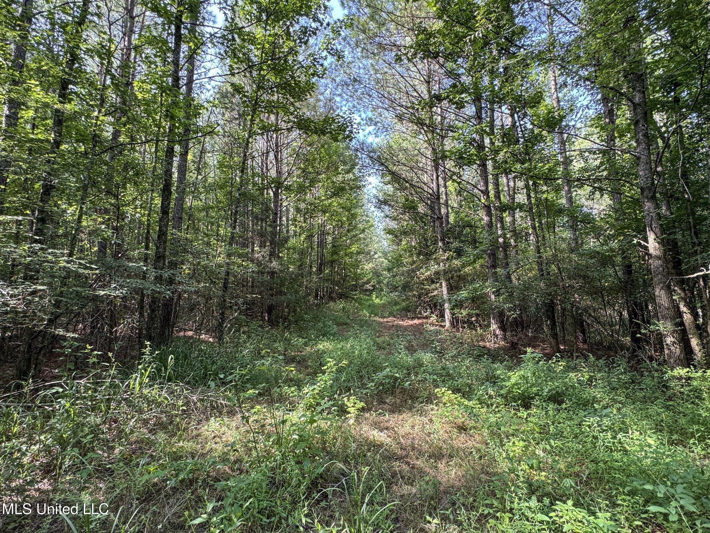 Pine Lodge Road Road Property Photo 98