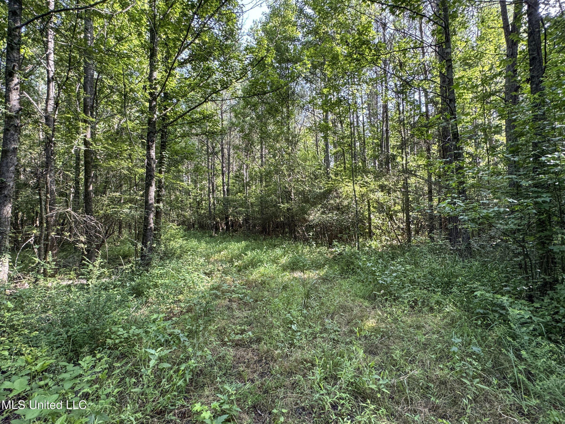 Pine Lodge Road Road Property Photo 99