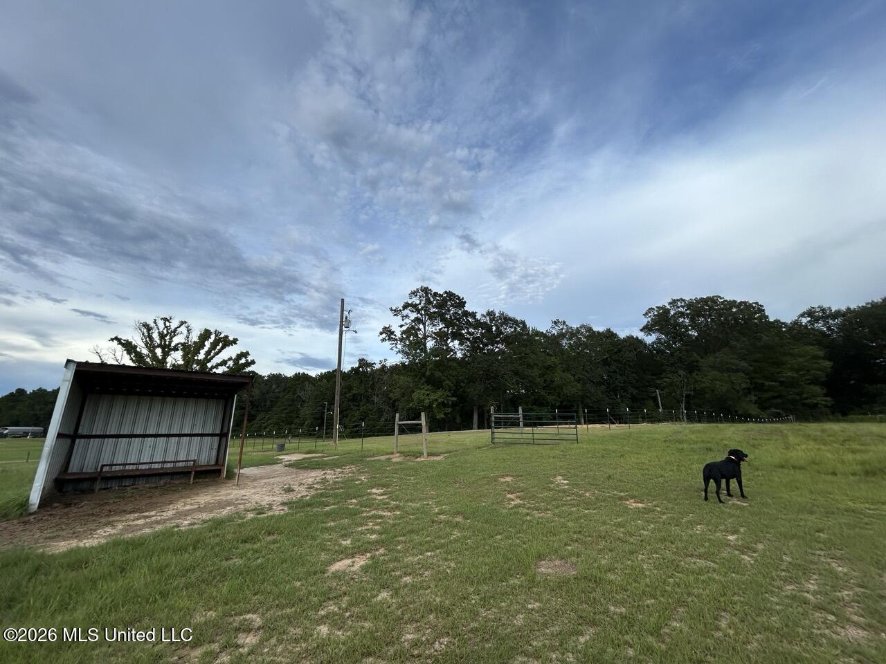 8066 Old Highway 24 Property Photo 15
