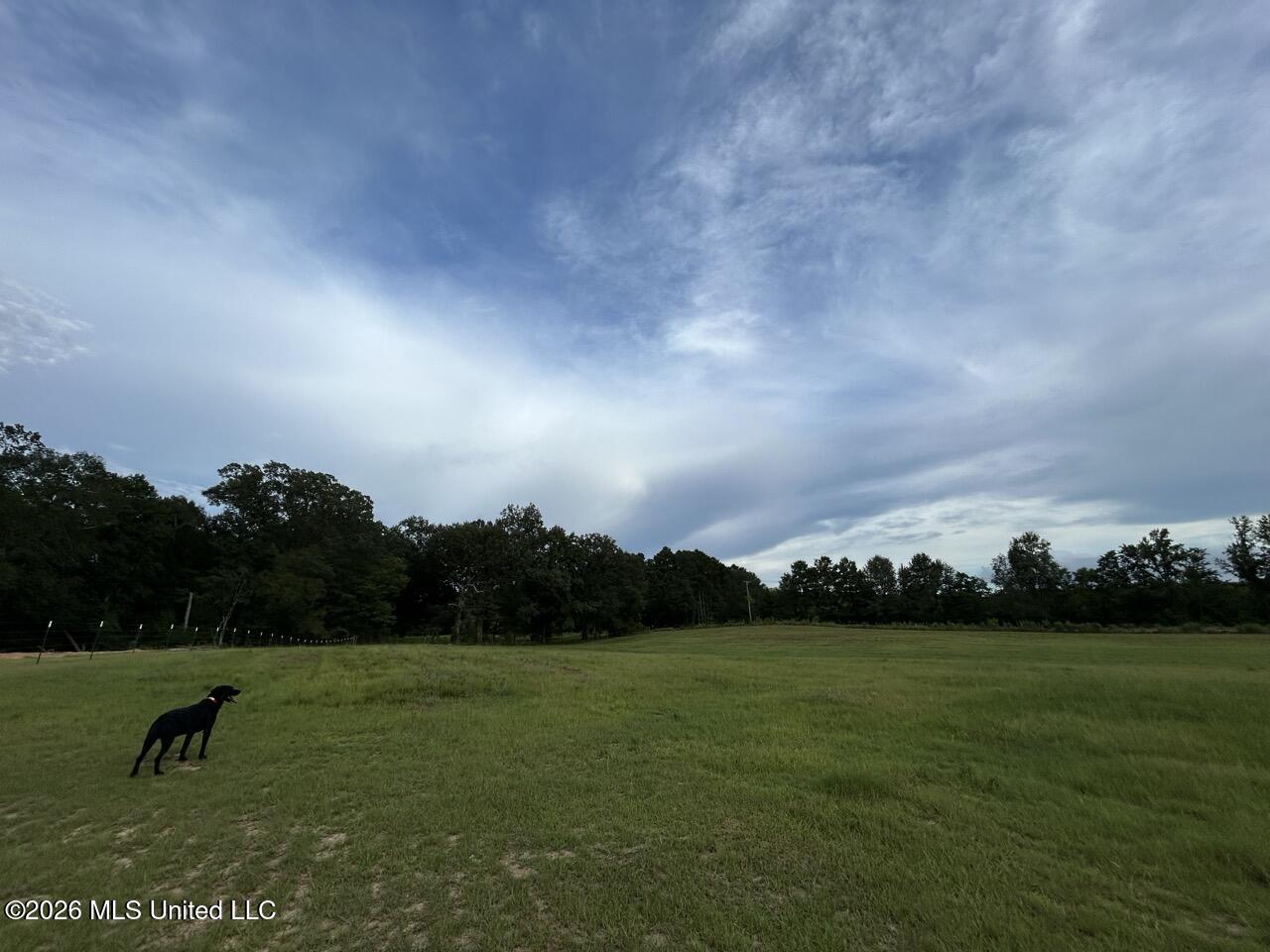 8066 Old Highway 24 Property Photo 16