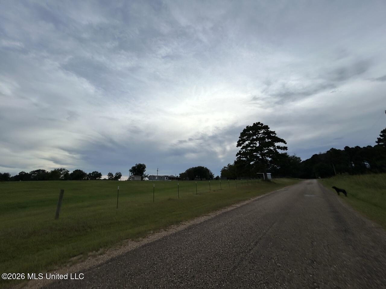 8066 Old Highway 24 Property Photo 19
