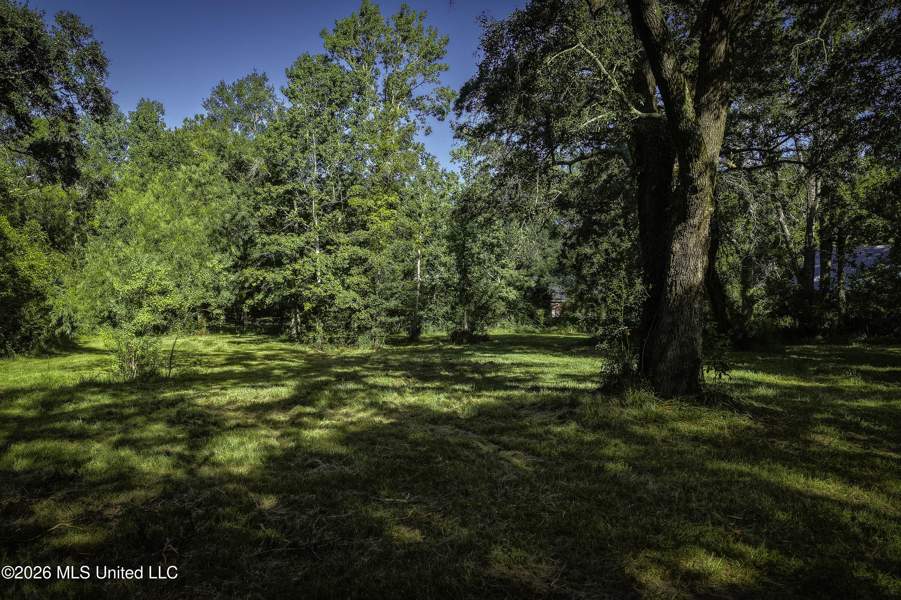 3521 Government Street Property Photo 11