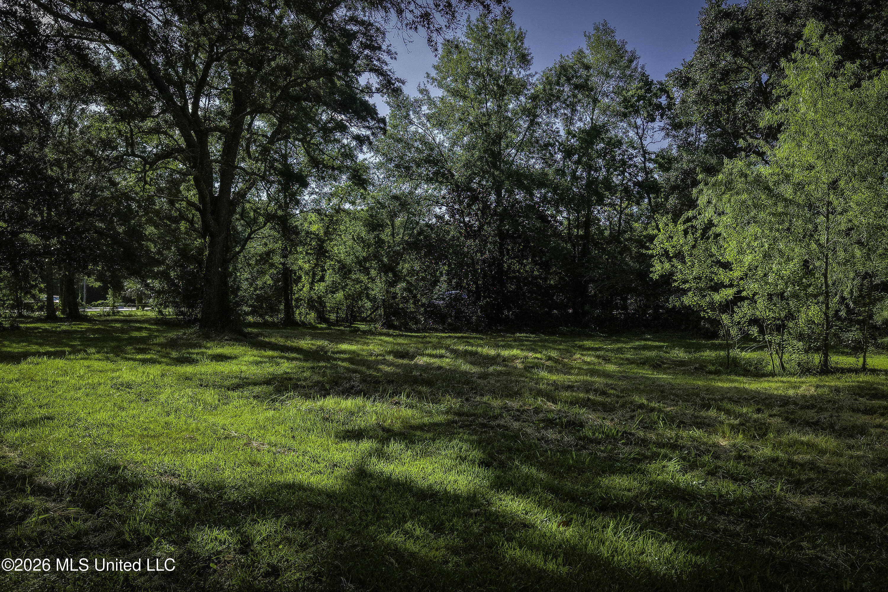 3521 Government Street Property Photo 16