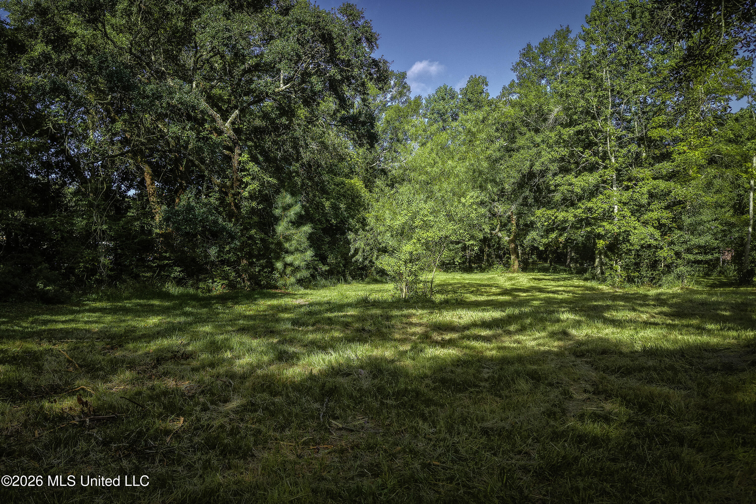 3521 Government Street Property Photo 18