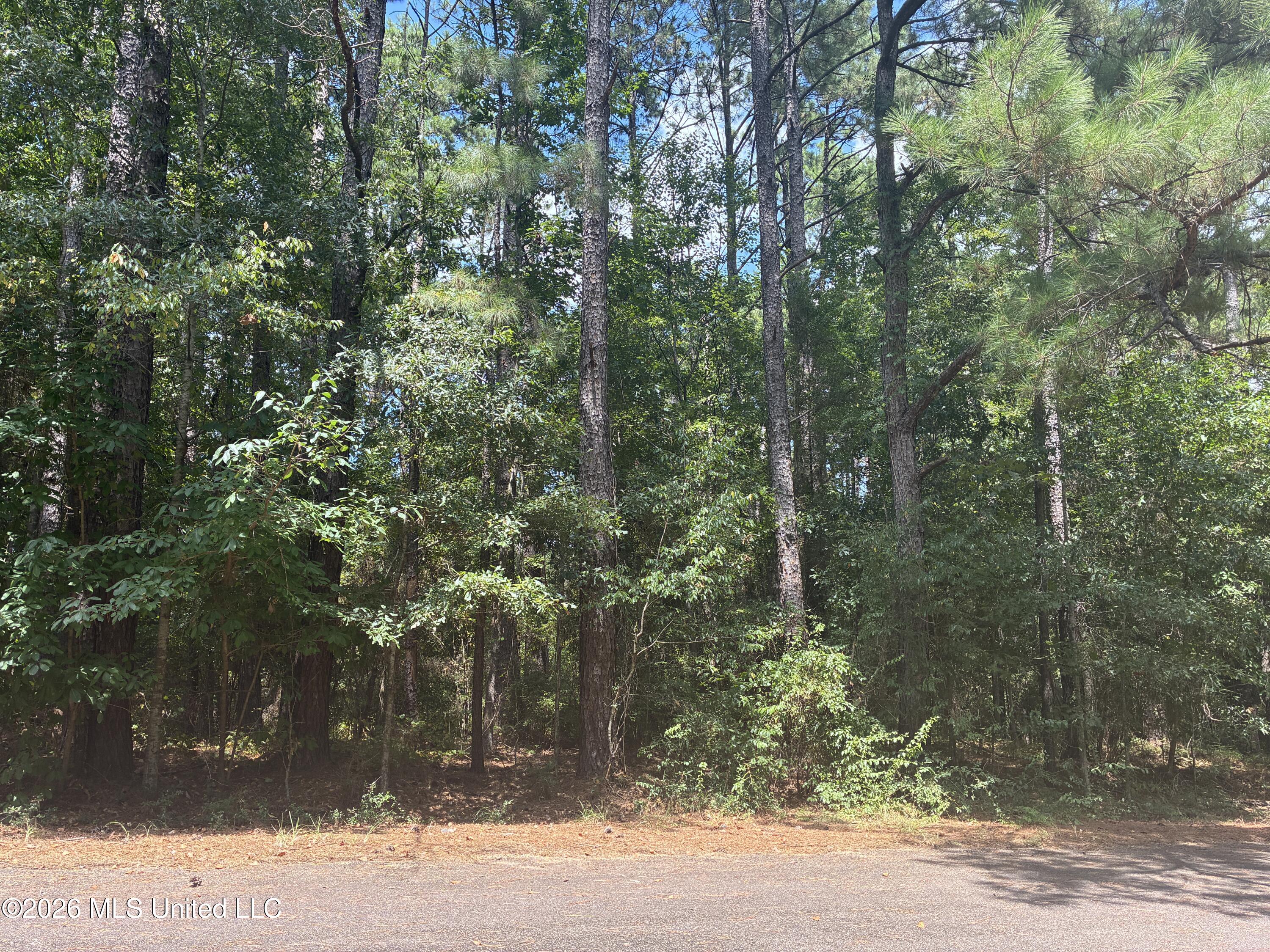 0 Lexington Lane Property Photo 1