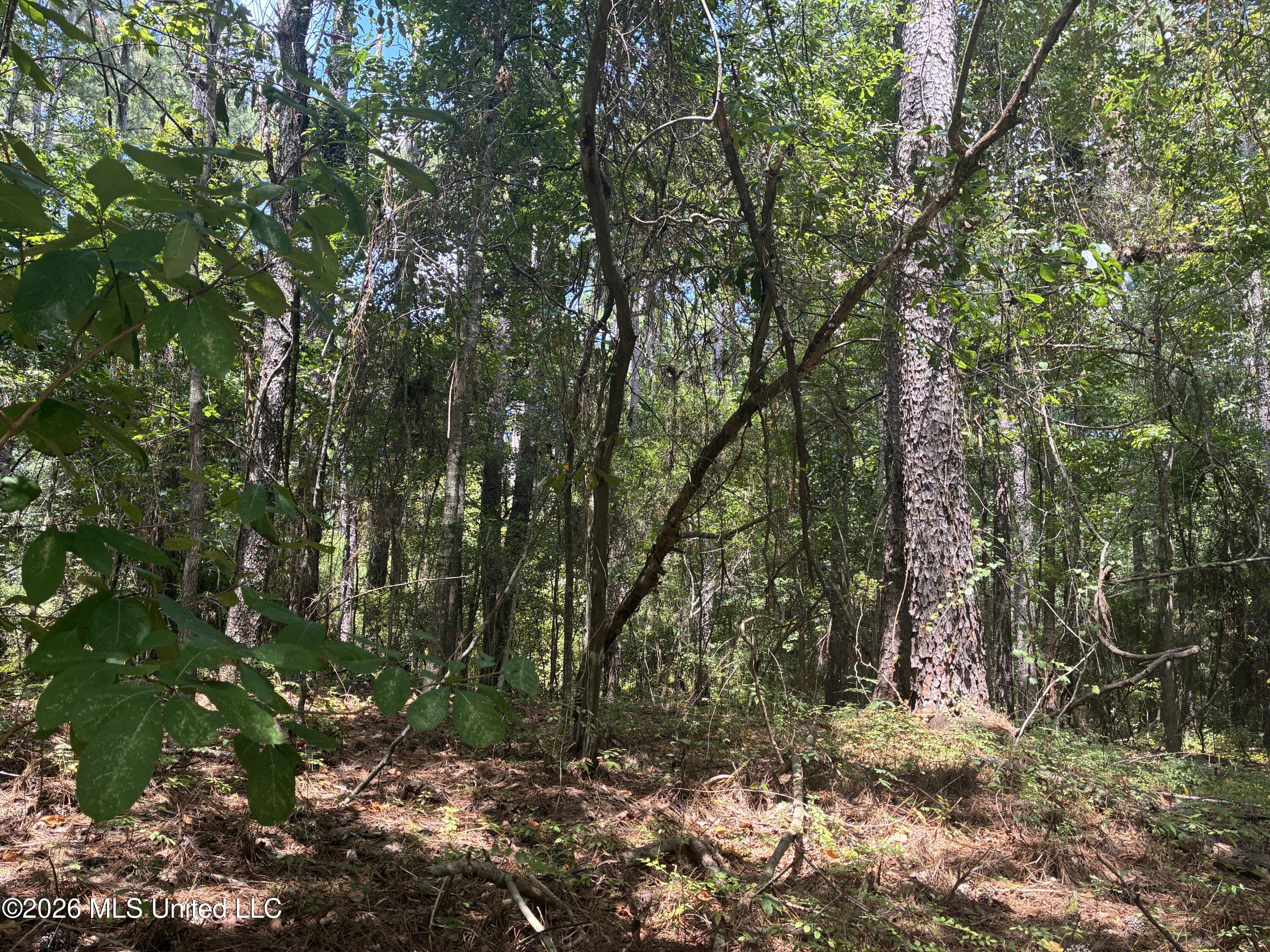 0 Lexington Lane Property Photo 2