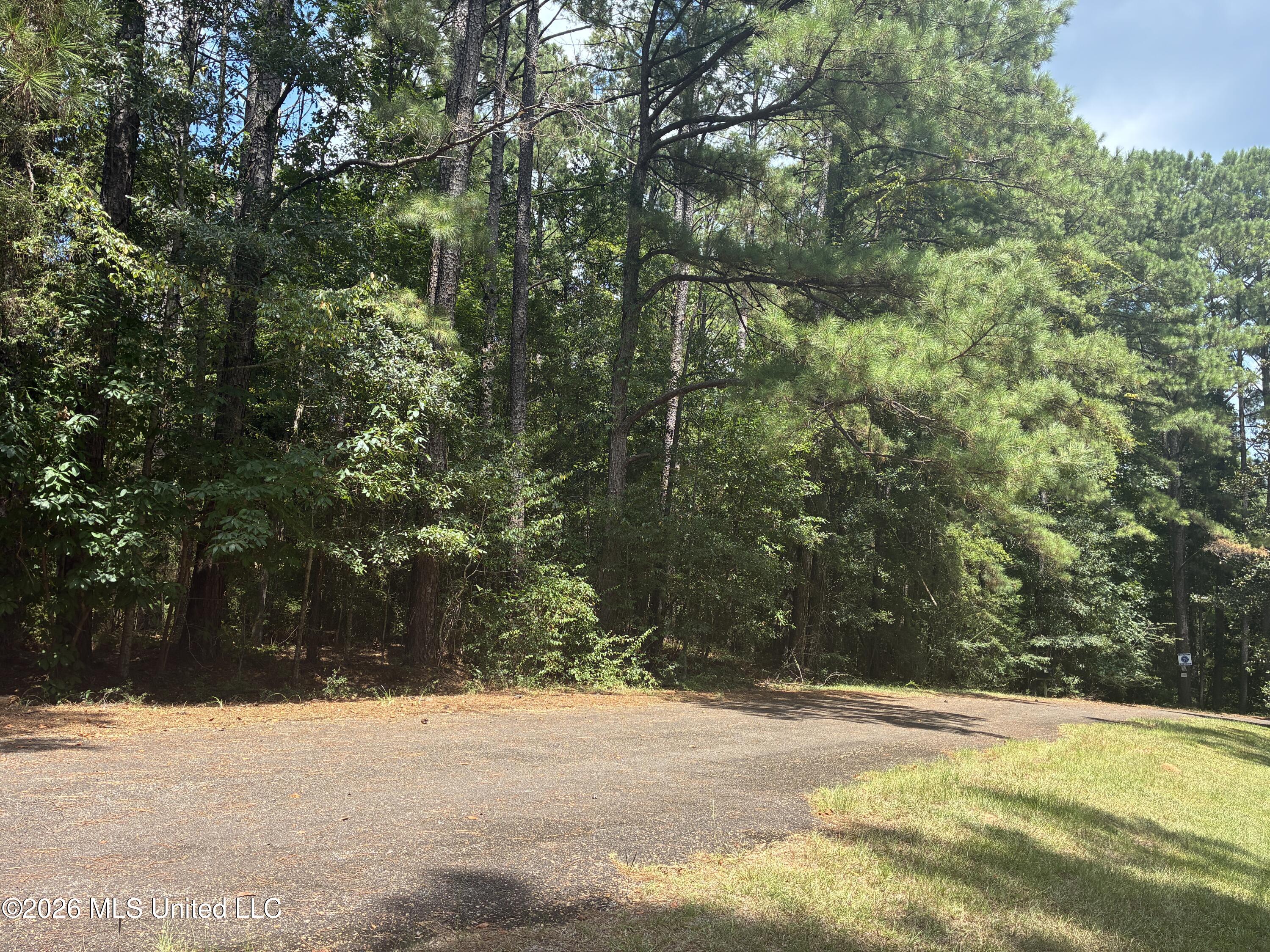 0 Lexington Lane Property Photo 4
