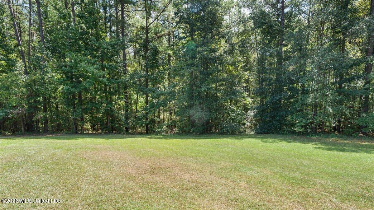 1907 Robinson Road Property Photo 28