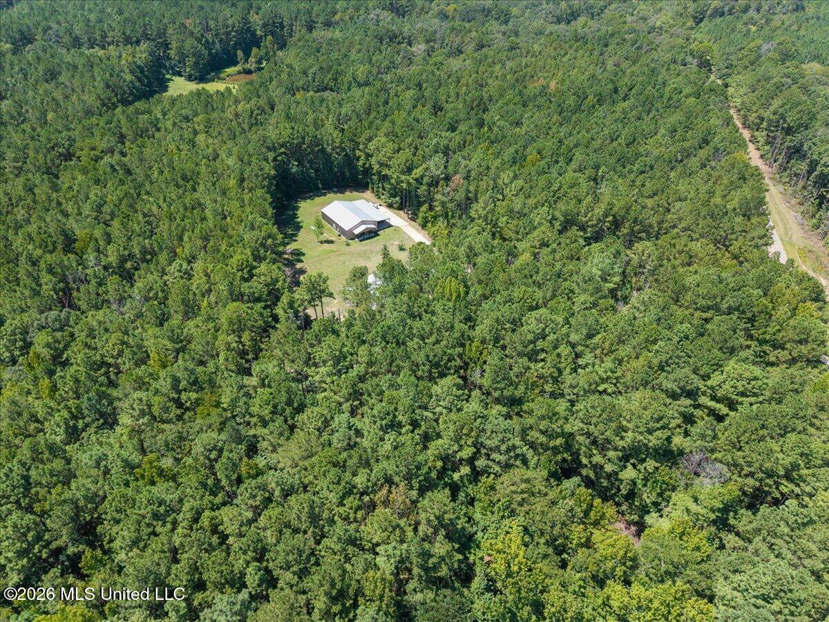 1907 Robinson Road Property Photo 34