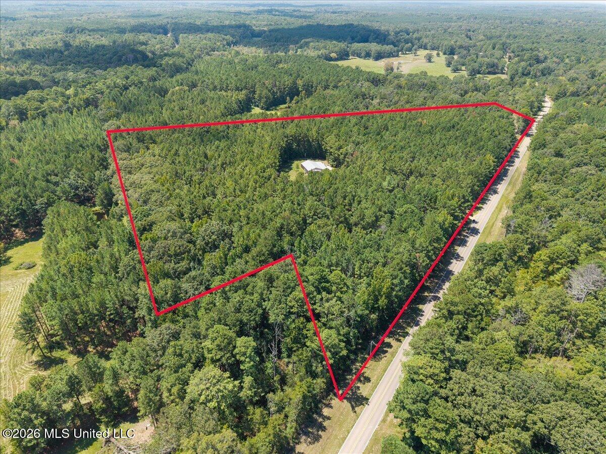 1907 Robinson Road Property Photo 38