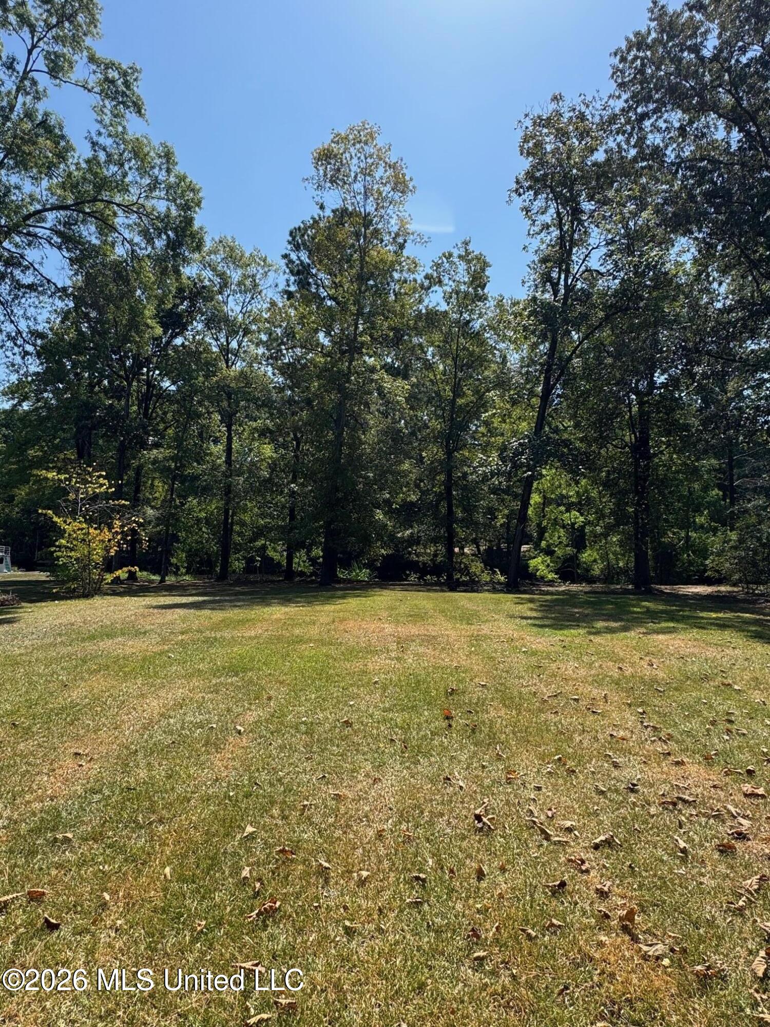 106 Holly Trail Property Photo 2