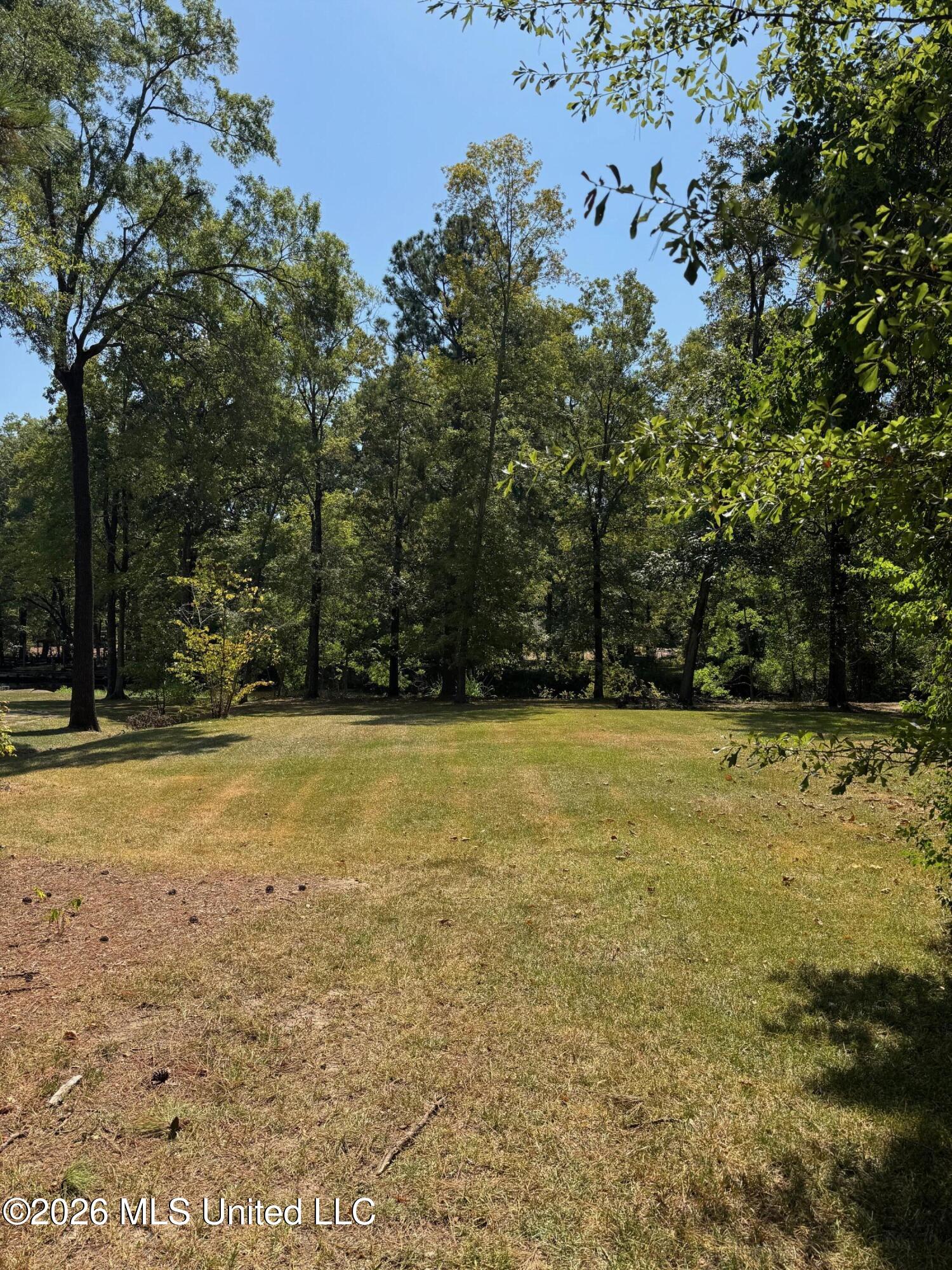106 Holly Trail Property Photo 3