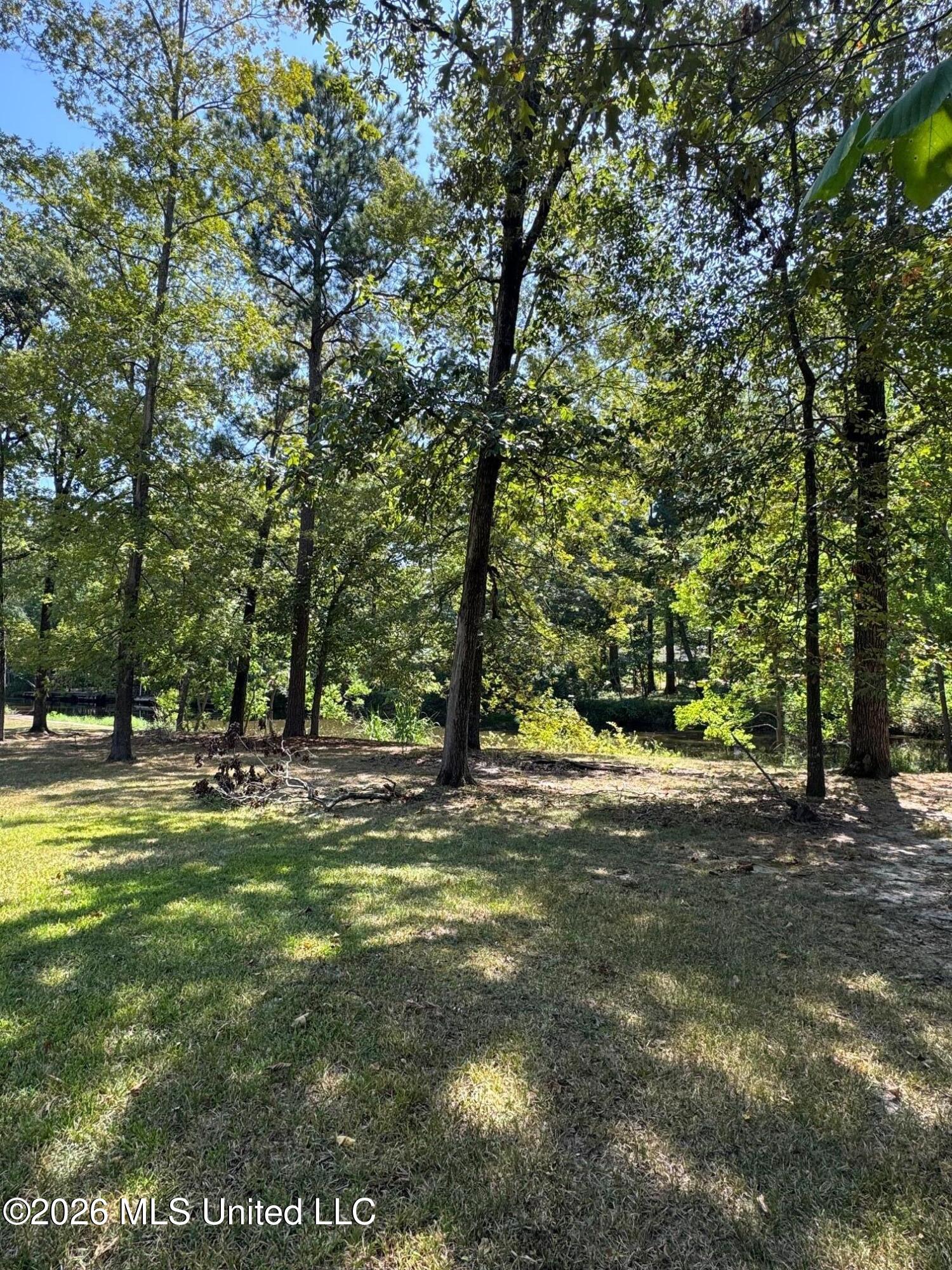 106 Holly Trail Property Photo 4
