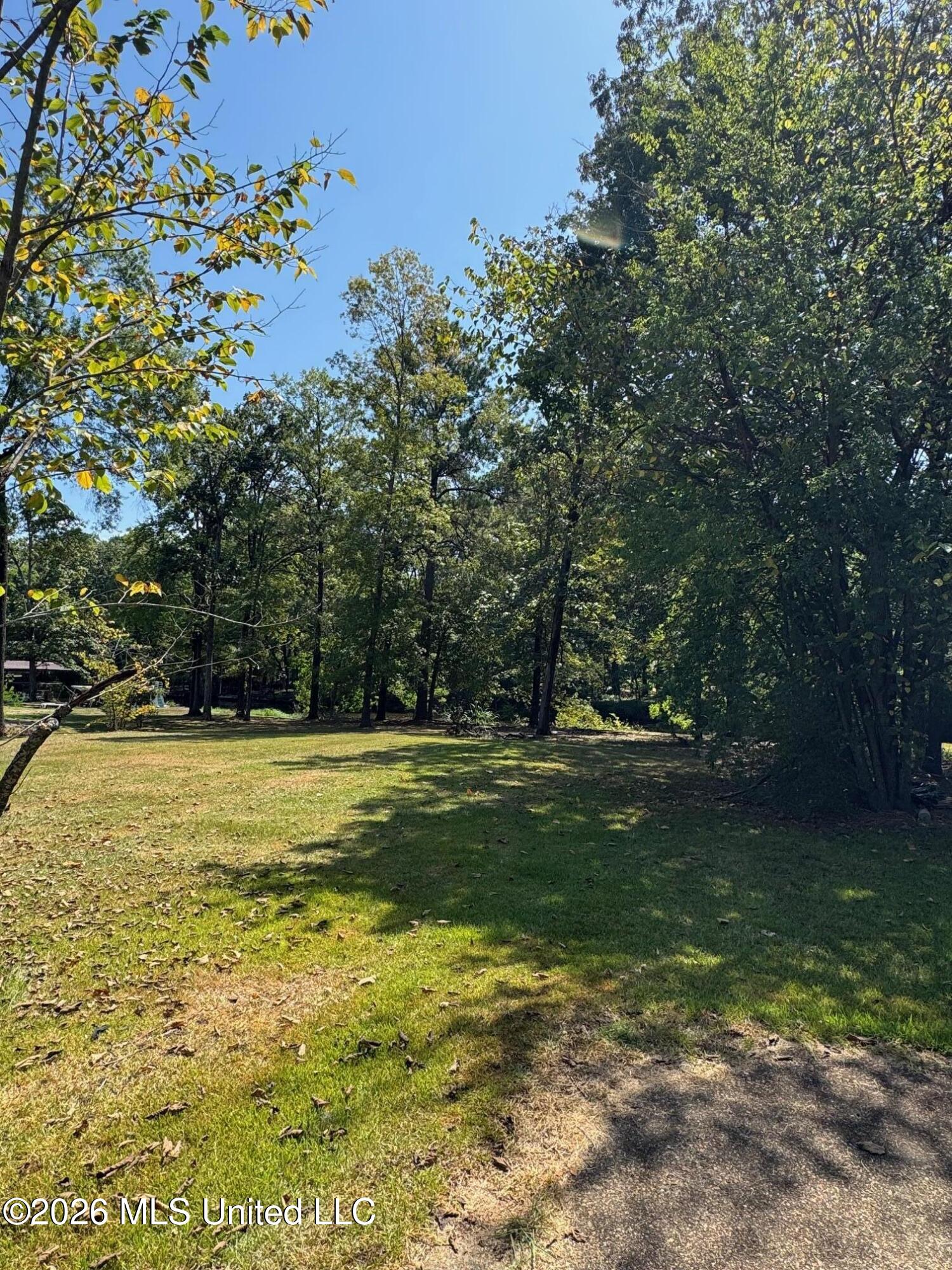 106 Holly Trail Property Photo 5