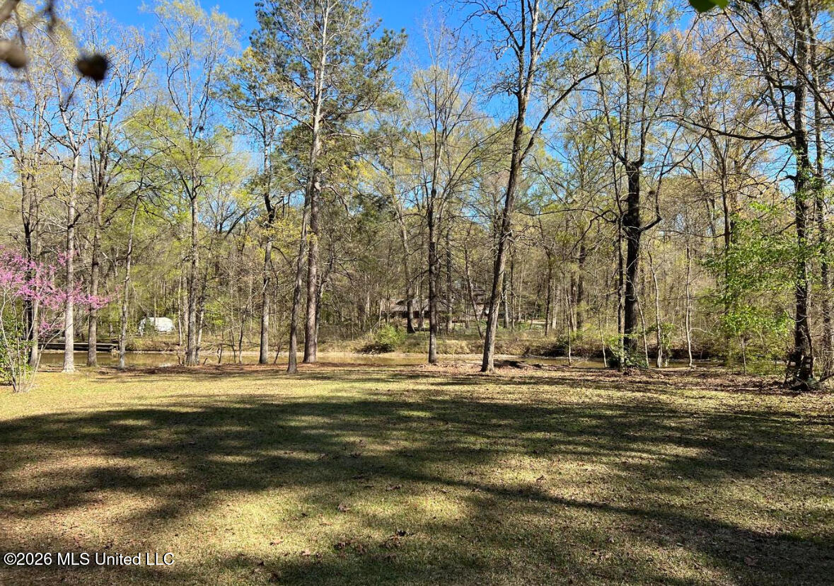 106 Holly Trail Property Photo 6