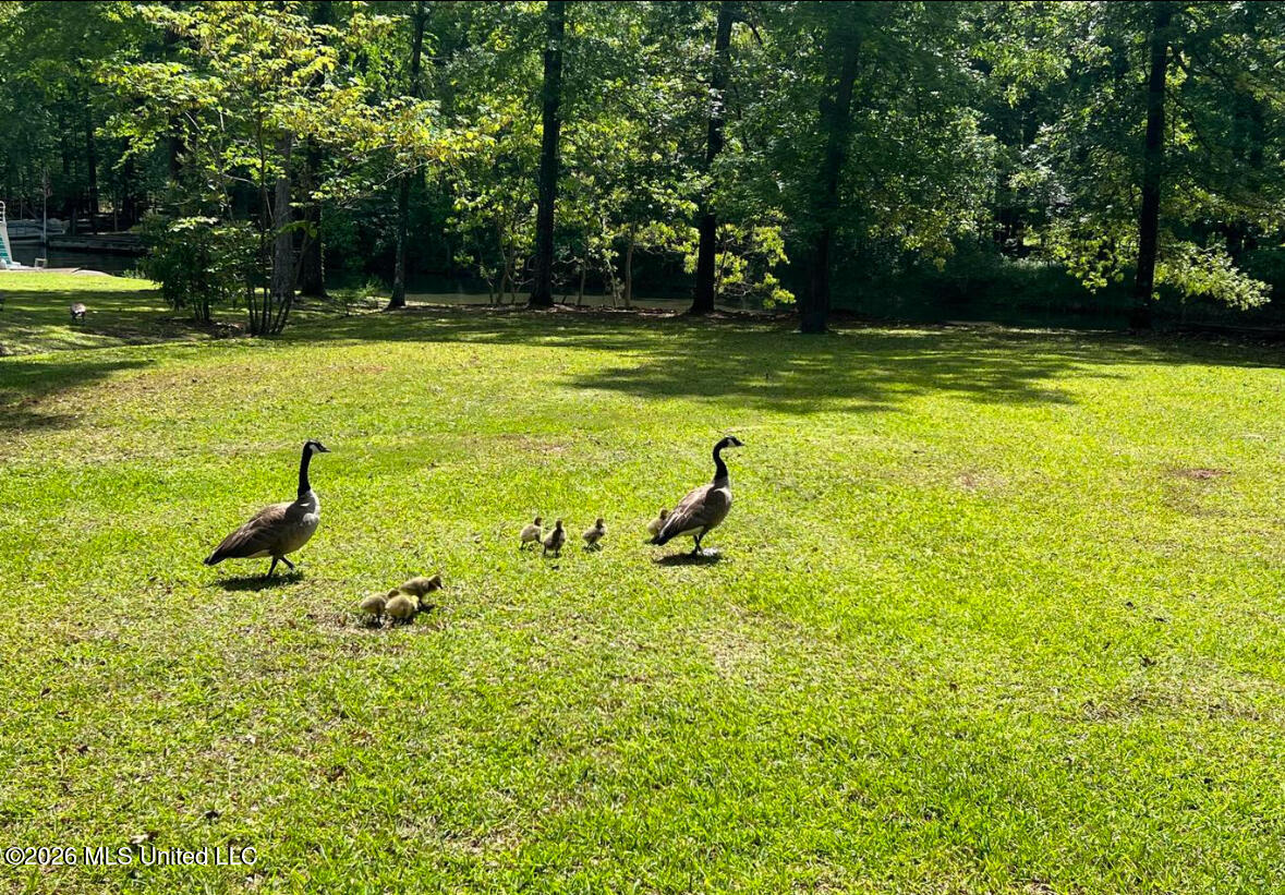 106 Holly Trail Property Photo 7