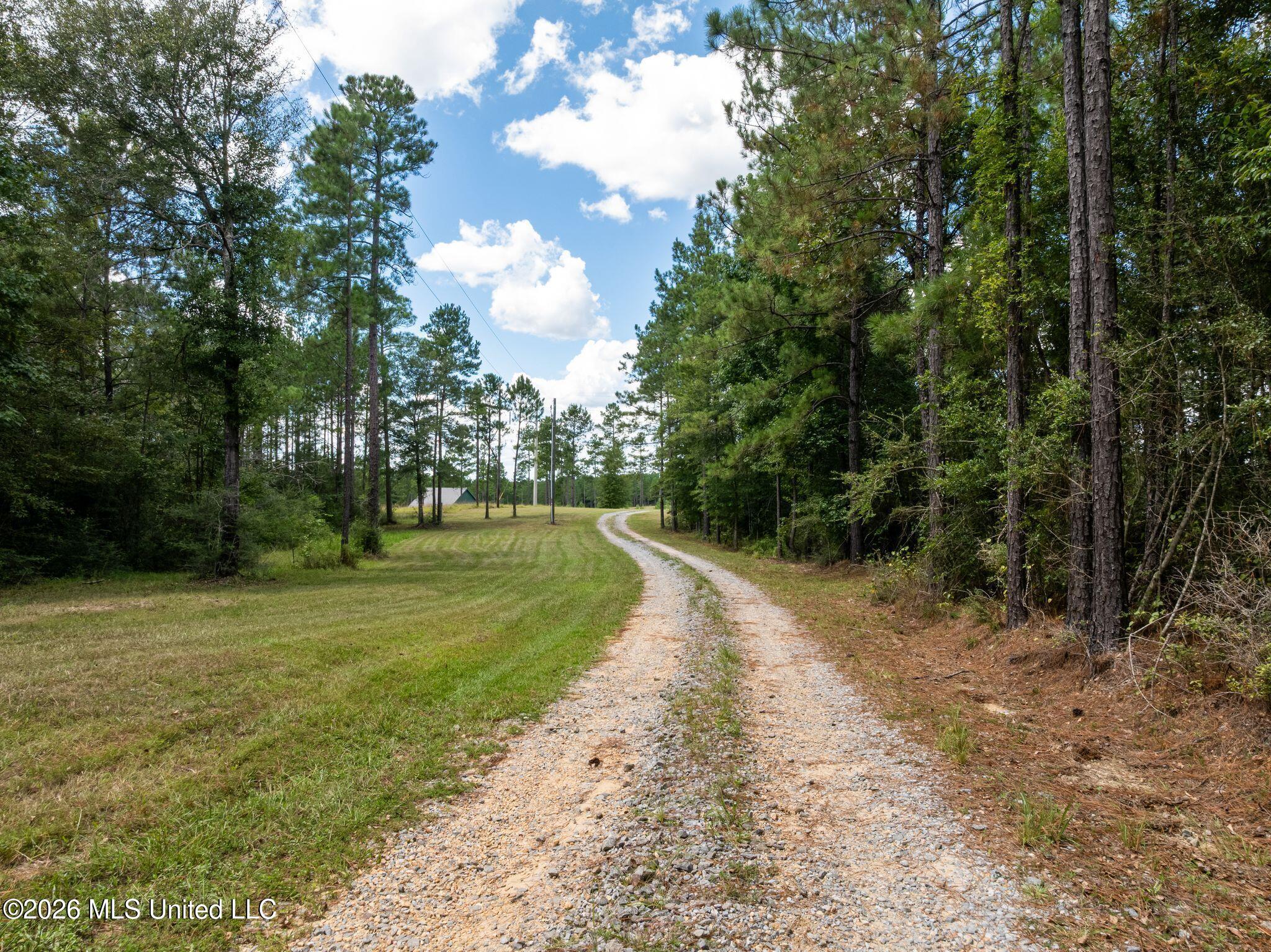 59 Clear Pines Drive Property Photo 3