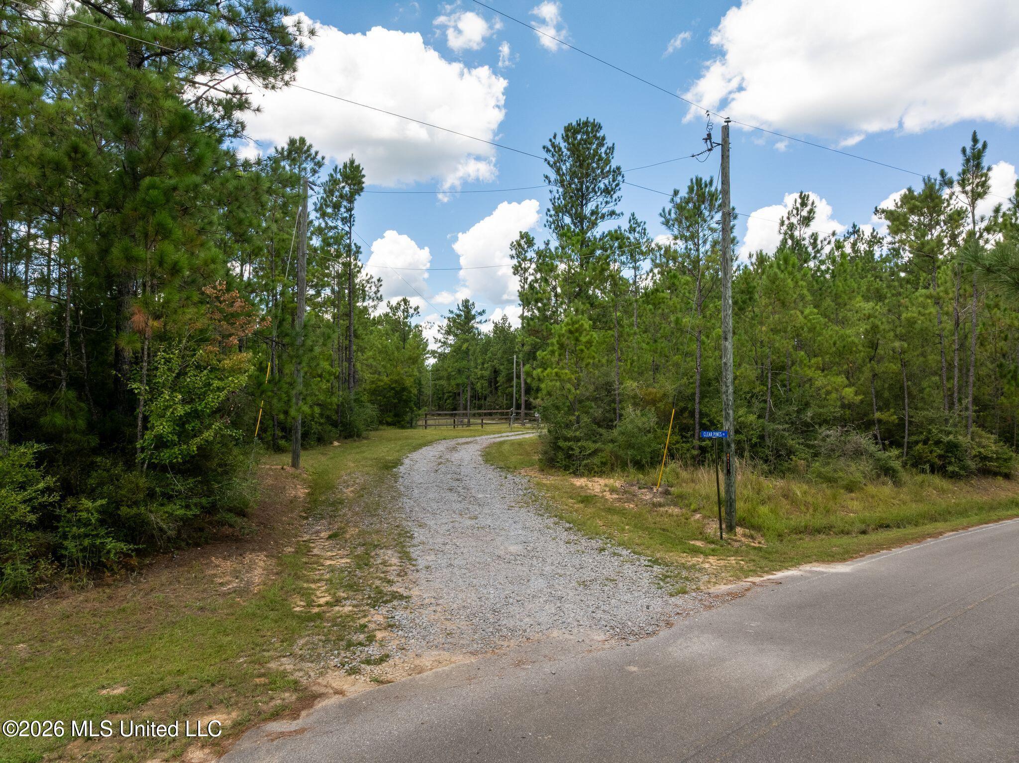 59 Clear Pines Drive Property Photo 4