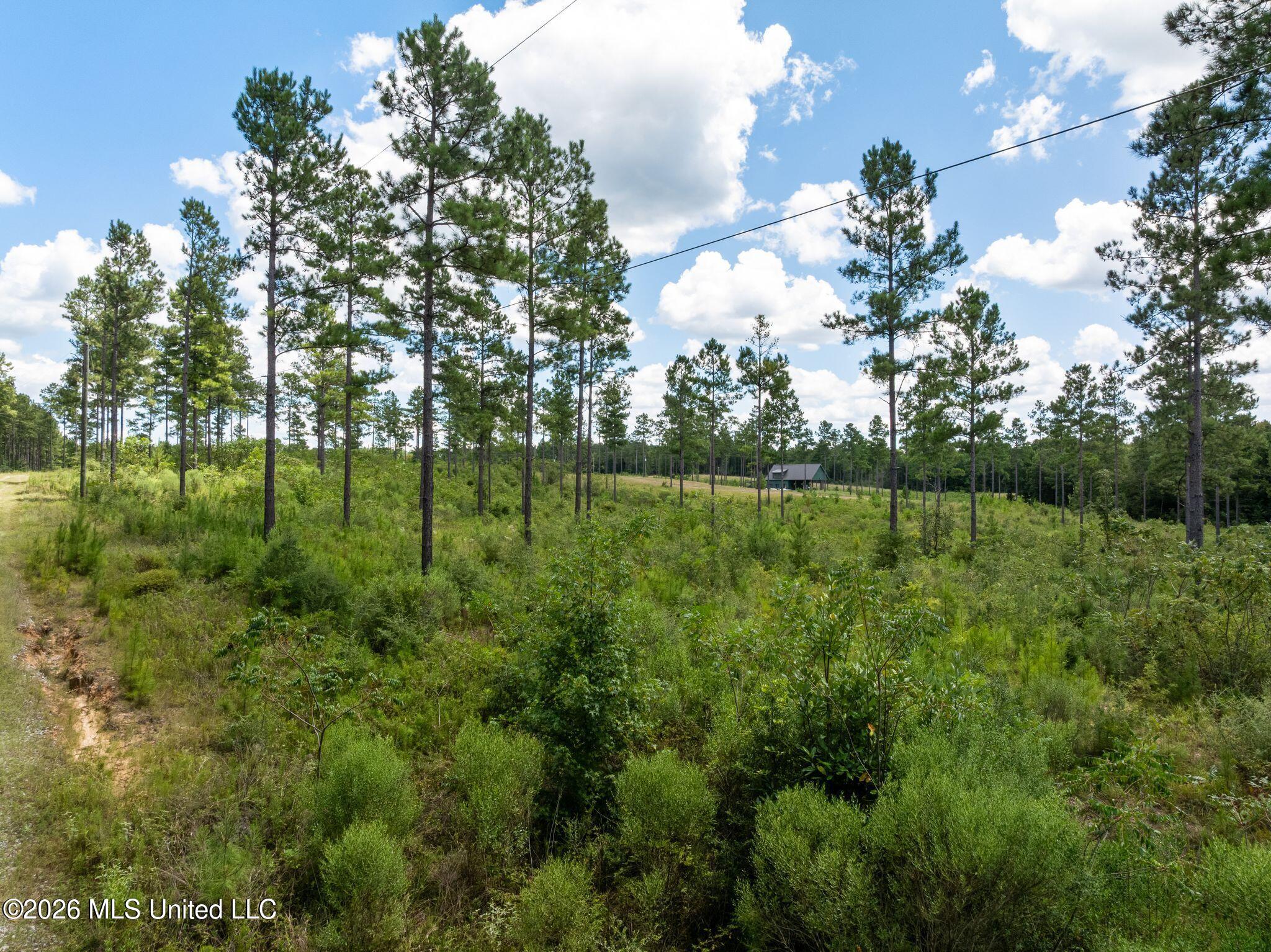 59 Clear Pines Drive Property Photo 34