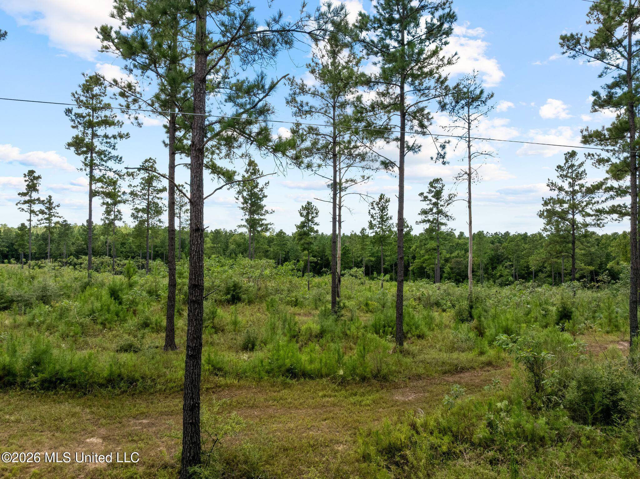 59 Clear Pines Drive Property Photo 35