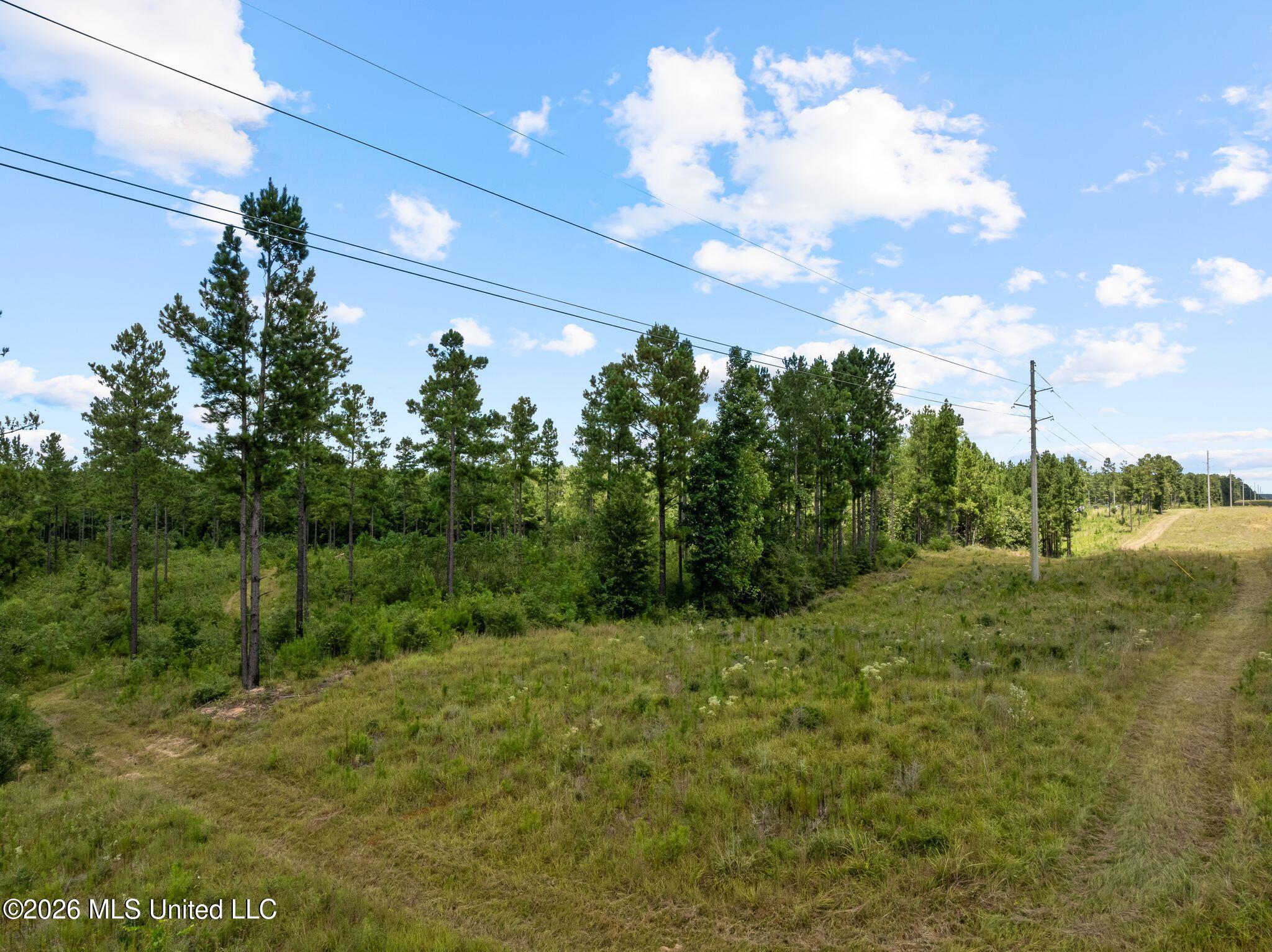 59 Clear Pines Drive Property Photo 37