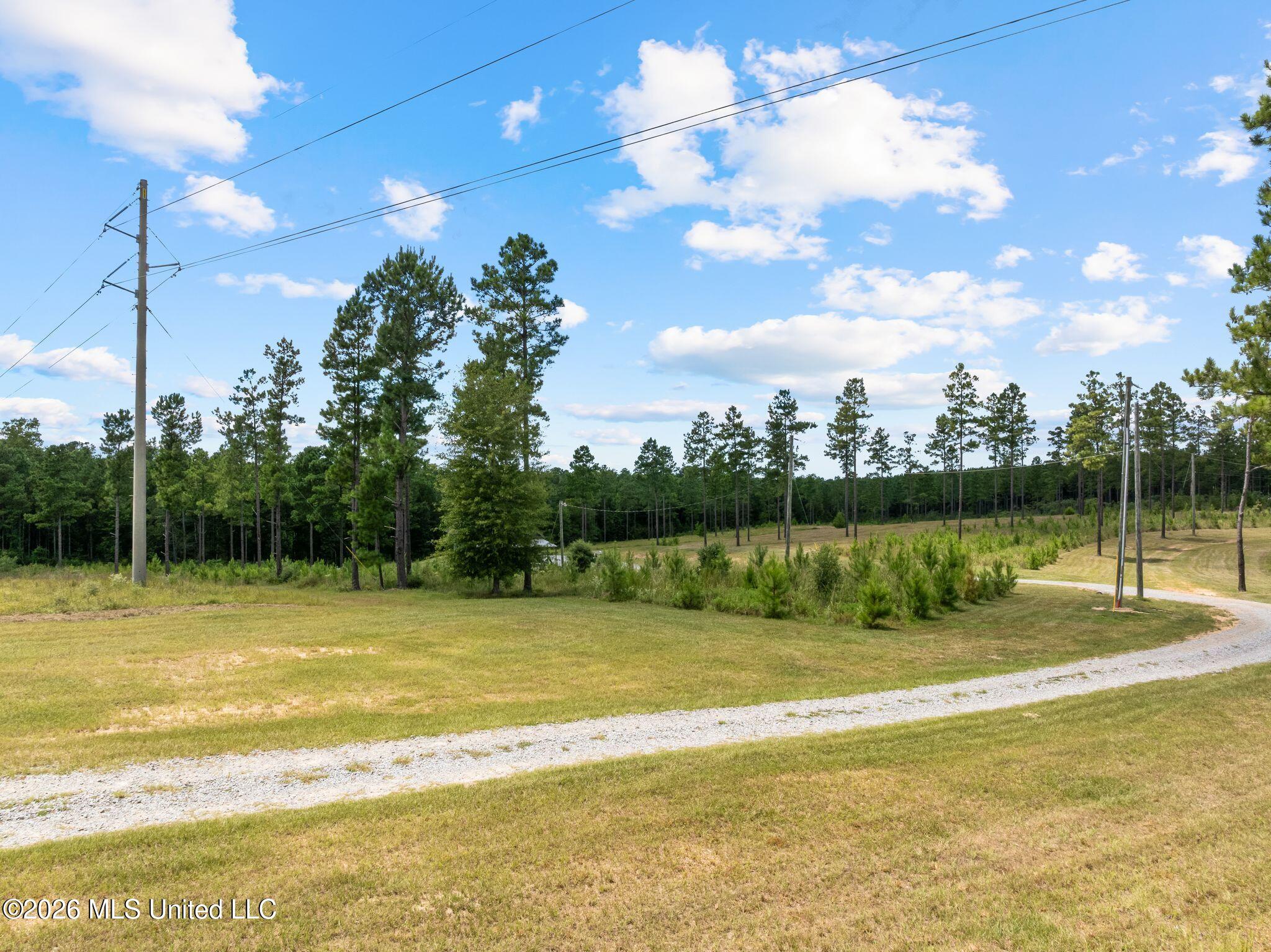 59 Clear Pines Drive Property Photo 38