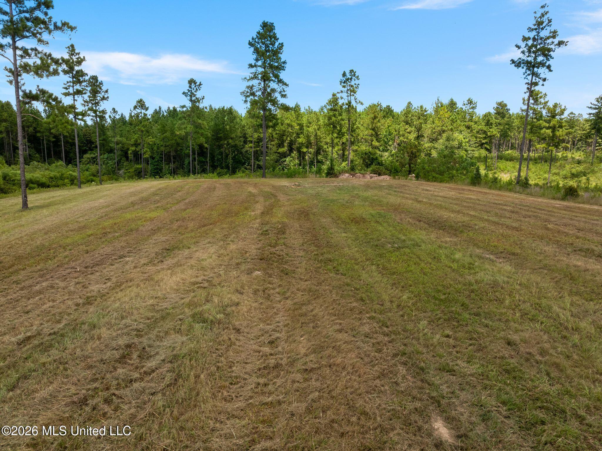 48 Clear Pines Drive Property Photo 2