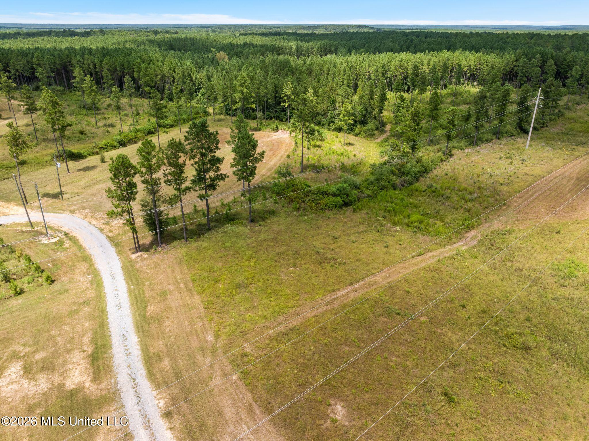 48 Clear Pines Drive Property Photo 3