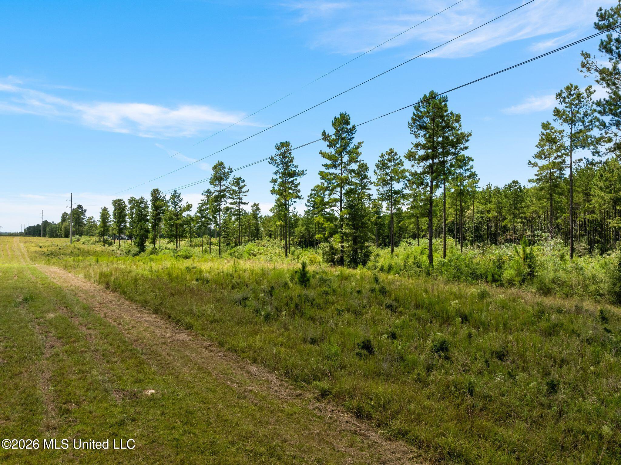 48 Clear Pines Drive Property Photo 4