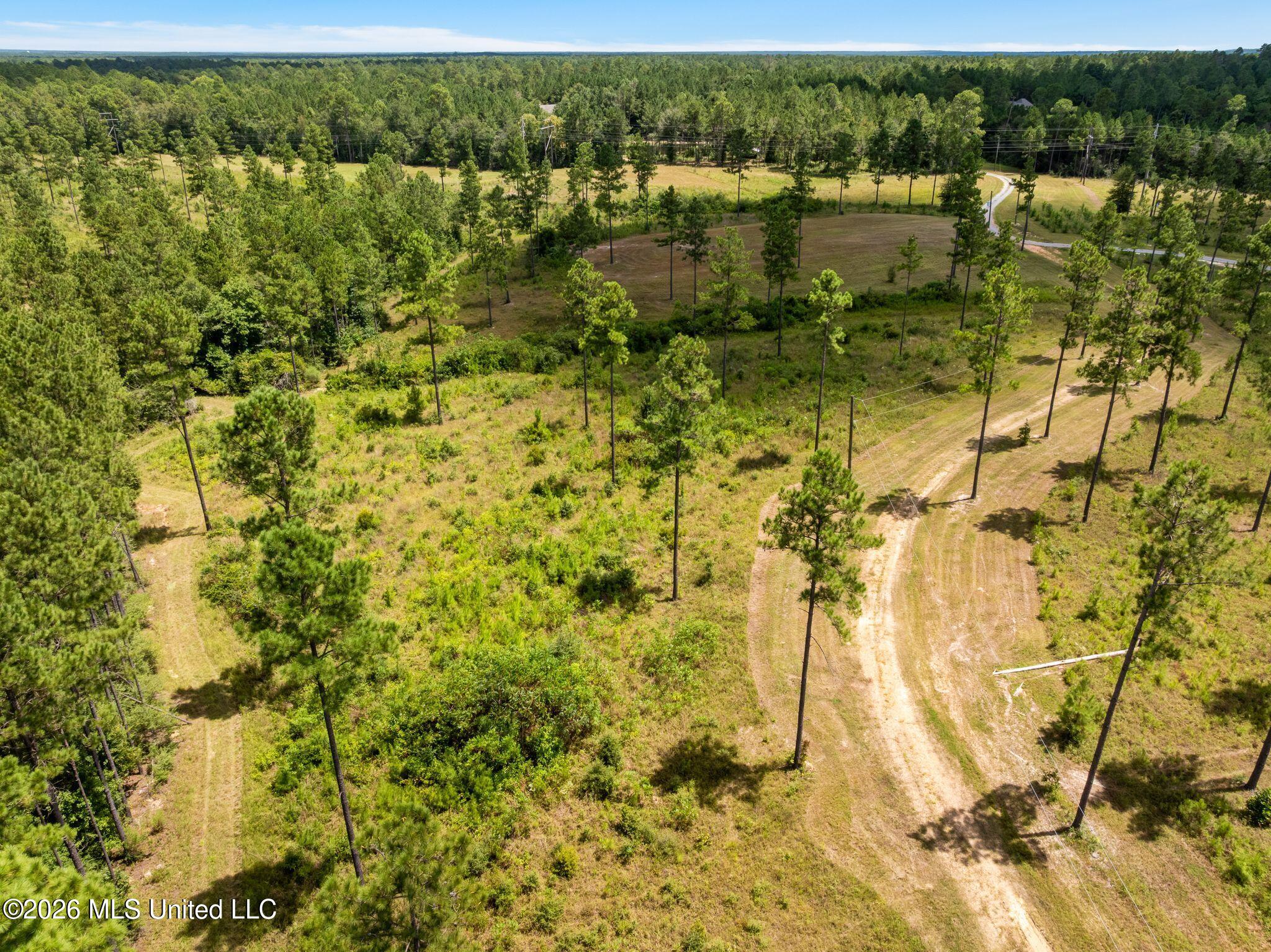 48 Clear Pines Drive Property Photo 5