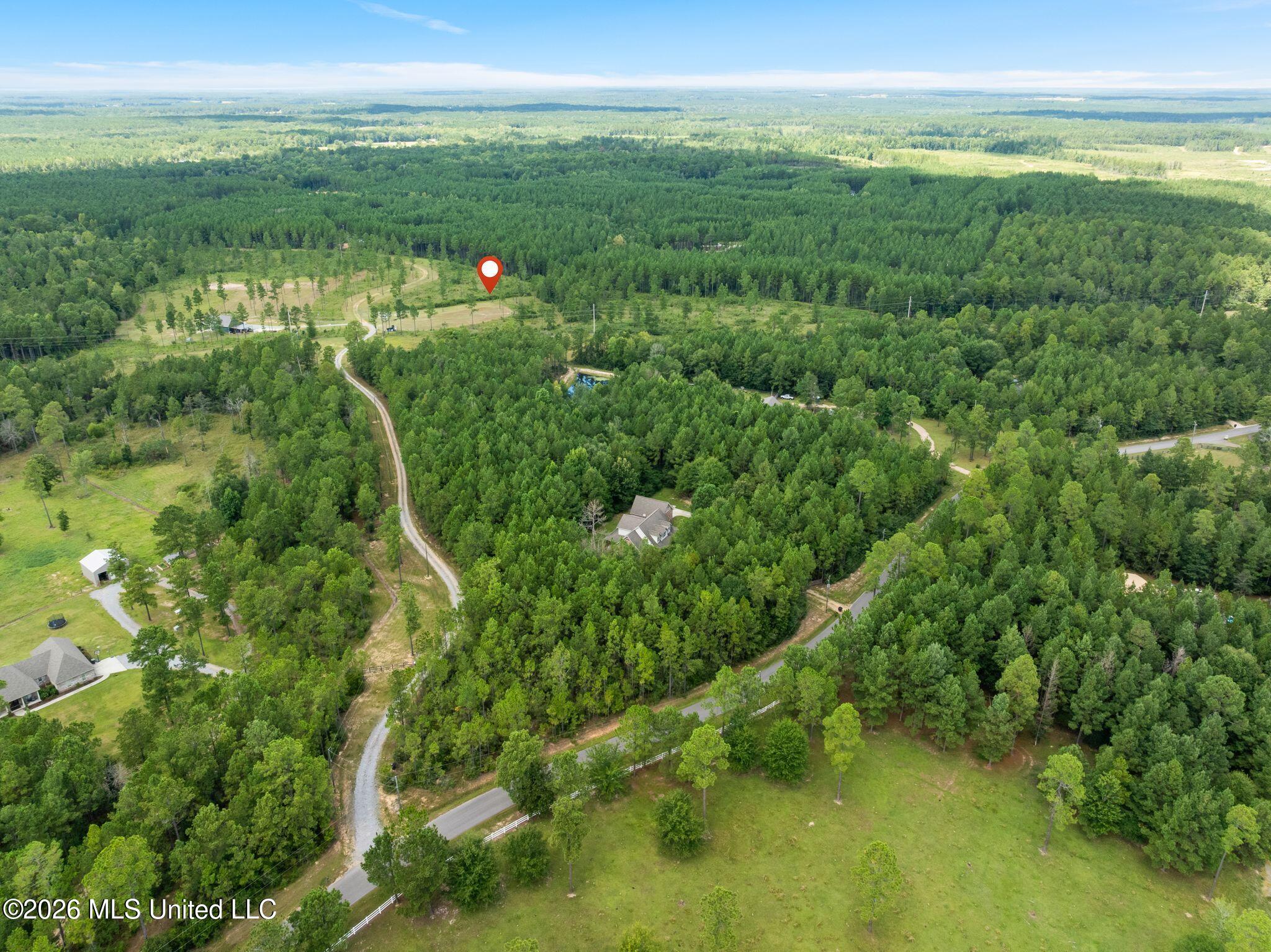 48 Clear Pines Drive Property Photo 6